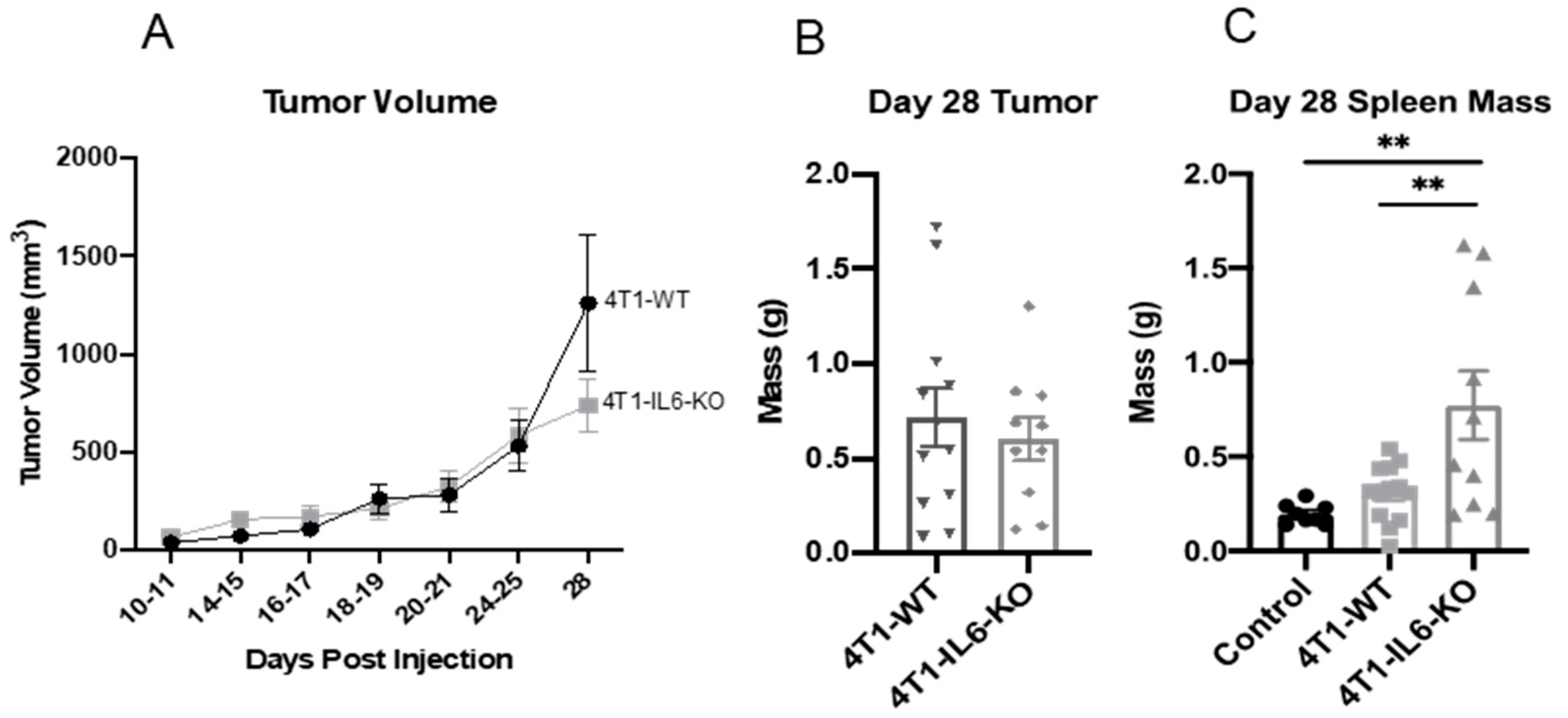 Ijms 23 10299 g008 Ijms 23 10299 g008