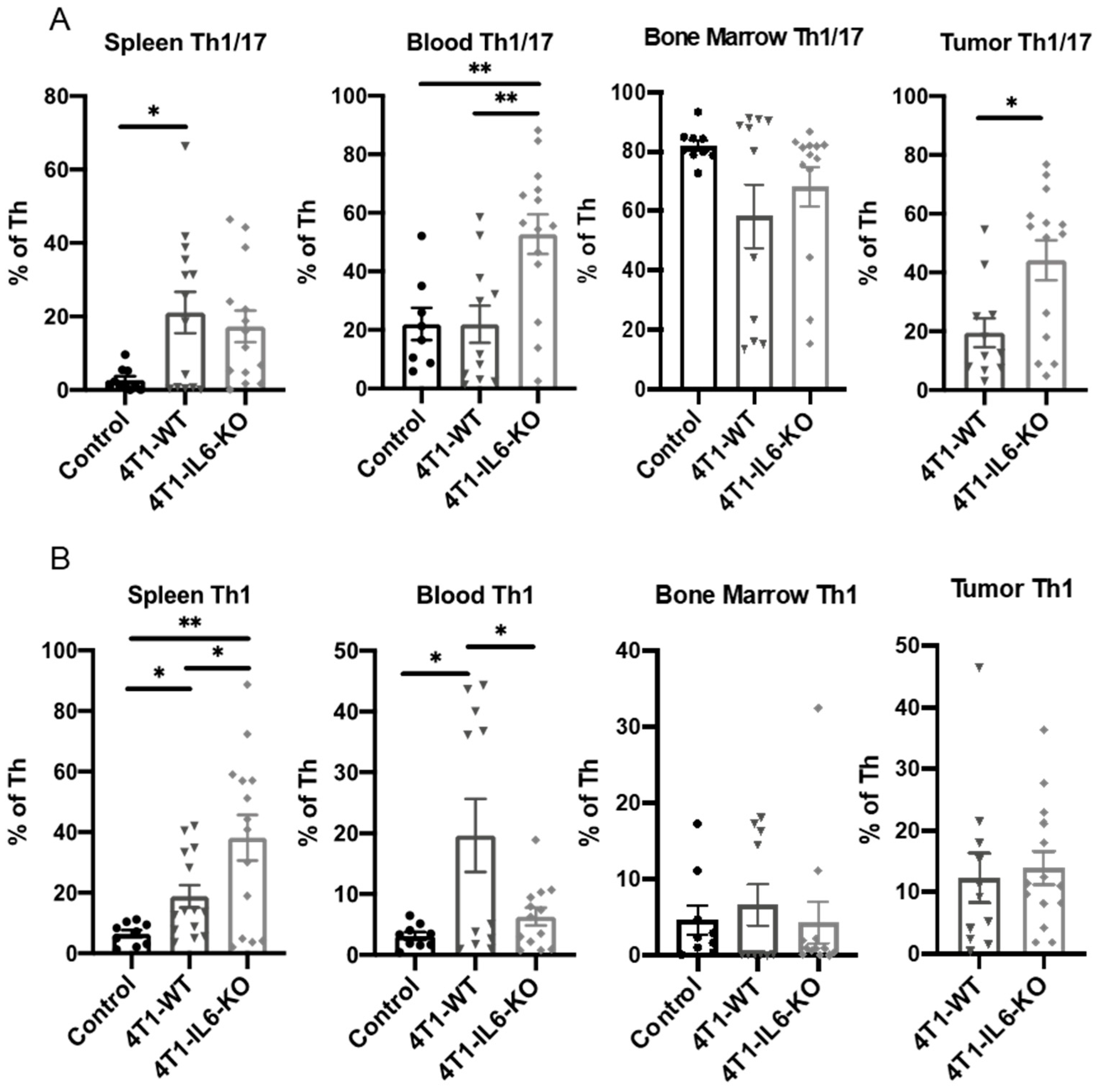 Ijms 23 10299 g011 Ijms 23 10299 g011