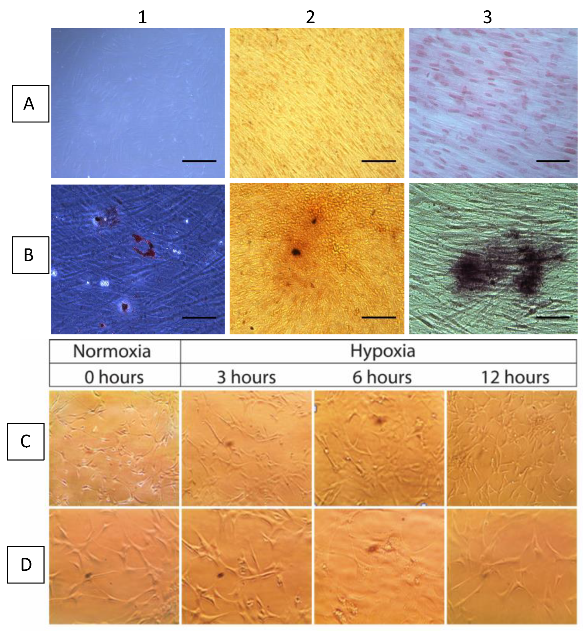 Ijms 23 10310 g003 Ijms 23 10310 g003