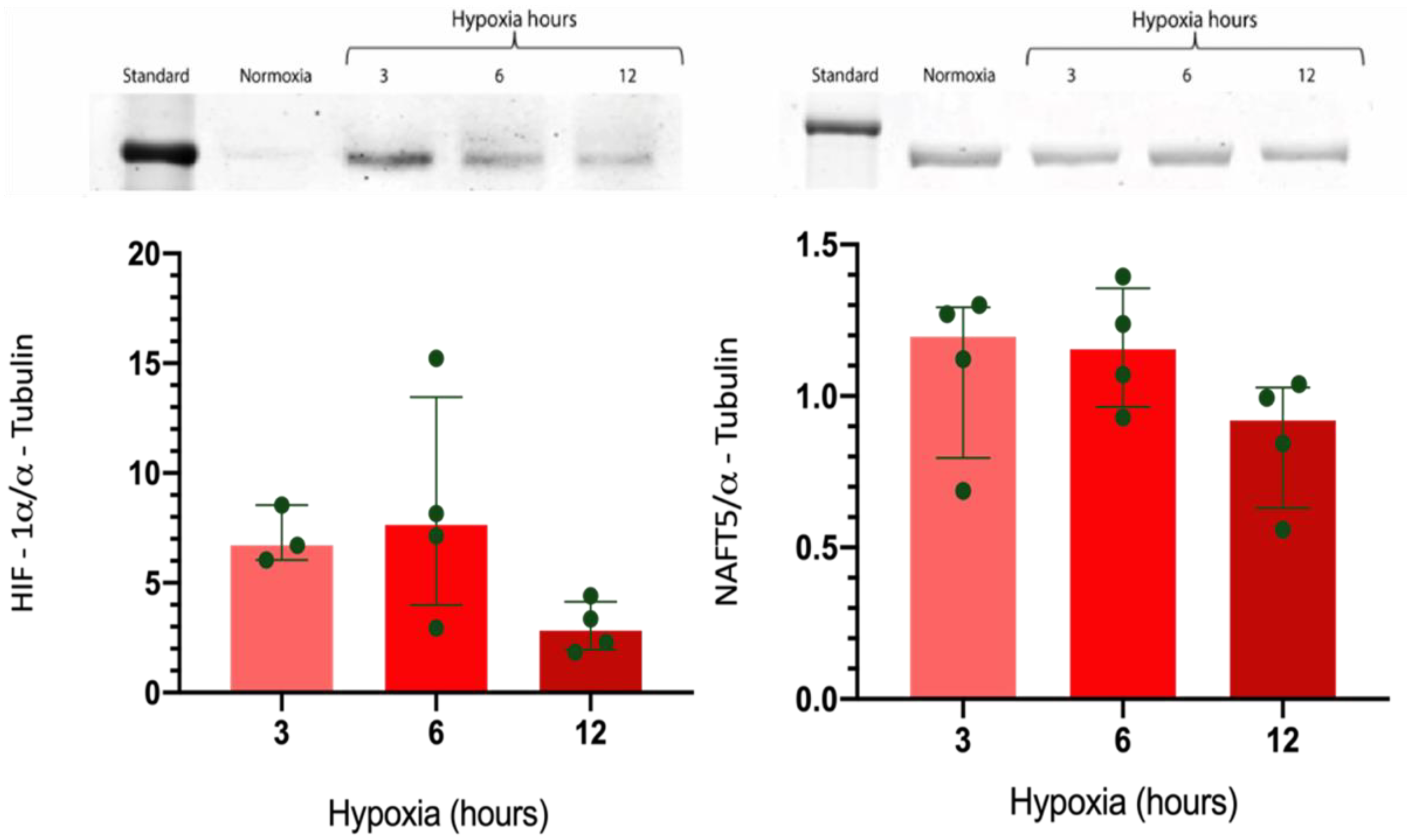 Ijms 23 10310 g005 Ijms 23 10310 g005