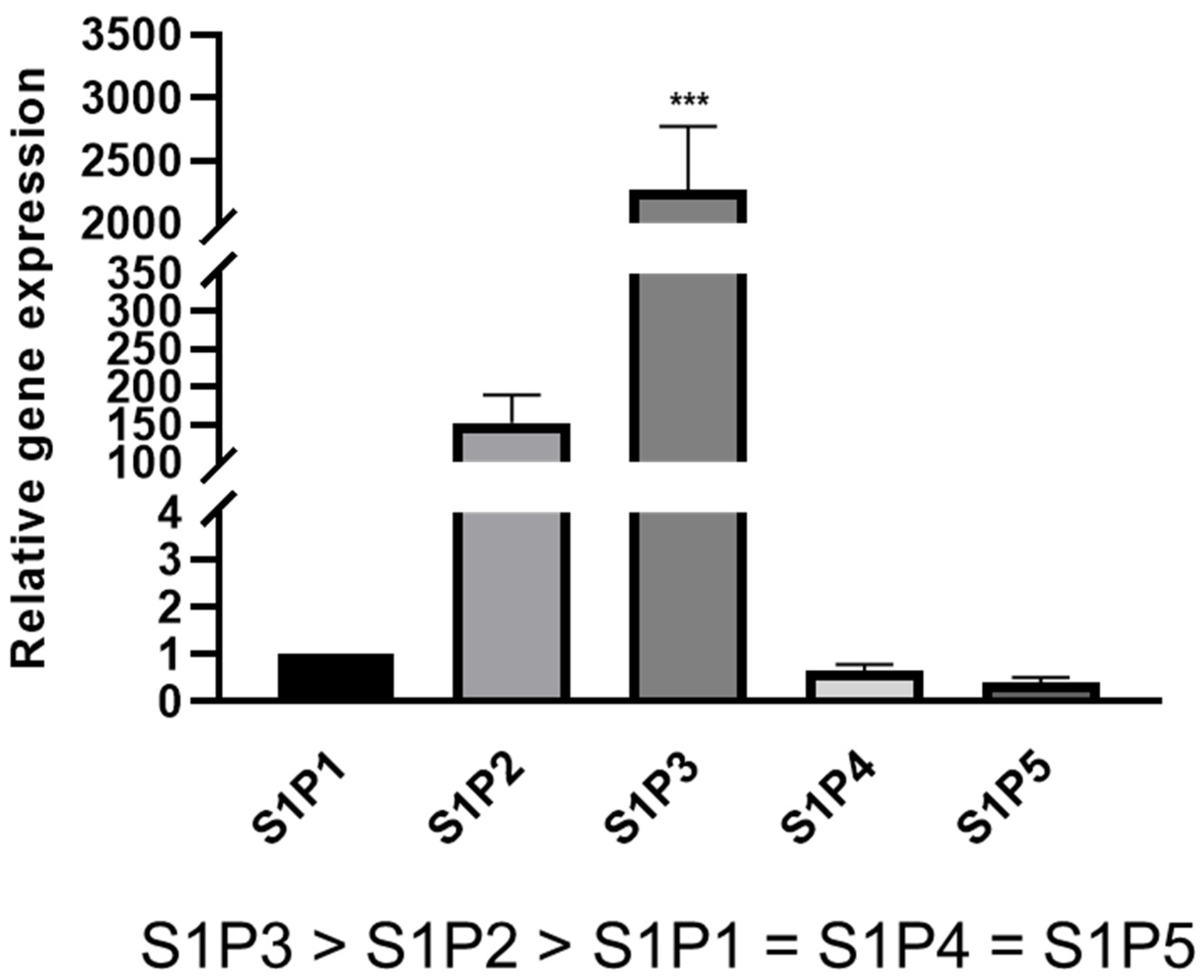 Ijms 23 10311 g001 Ijms 23 10311 g001