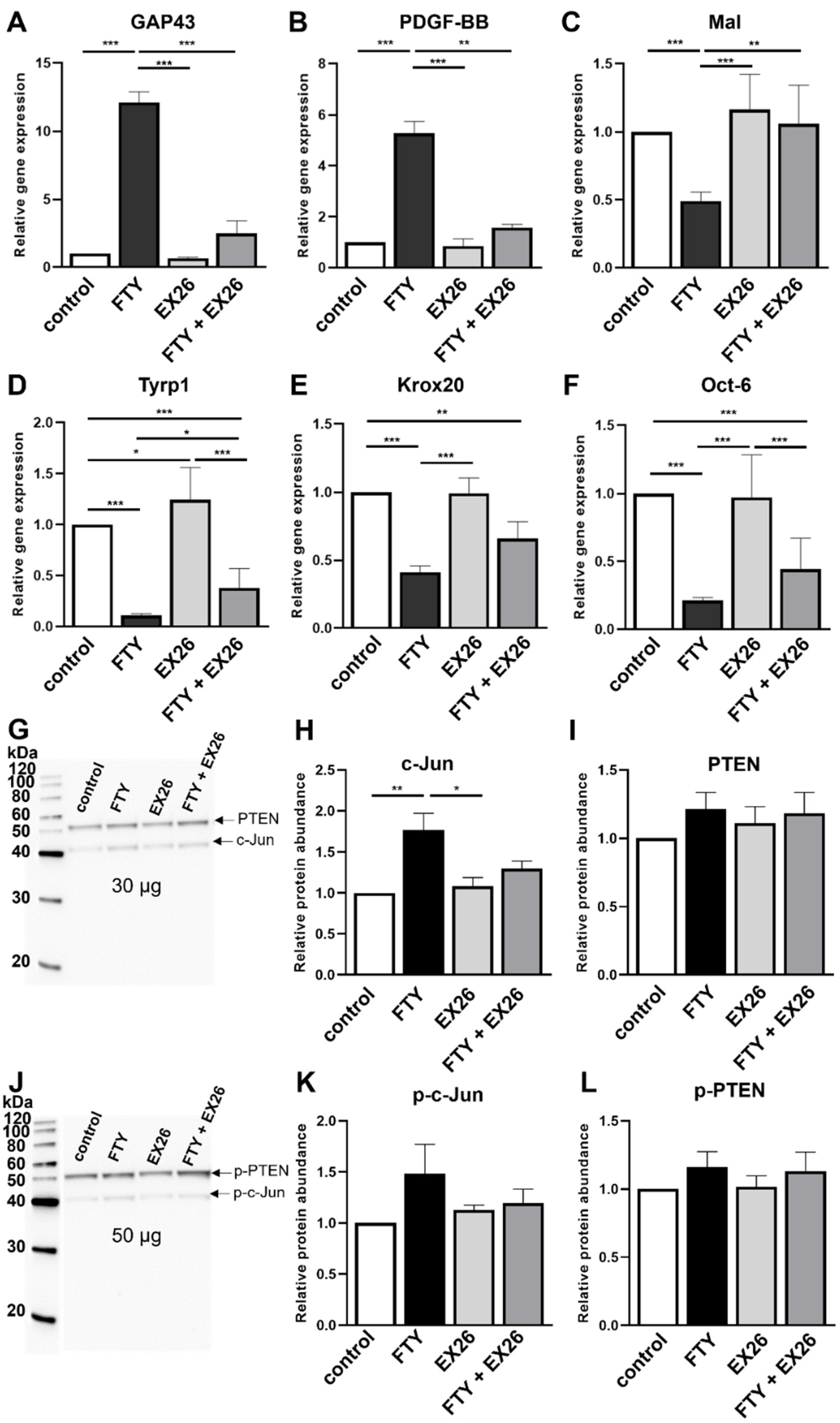 Ijms 23 10311 g002 Ijms 23 10311 g002