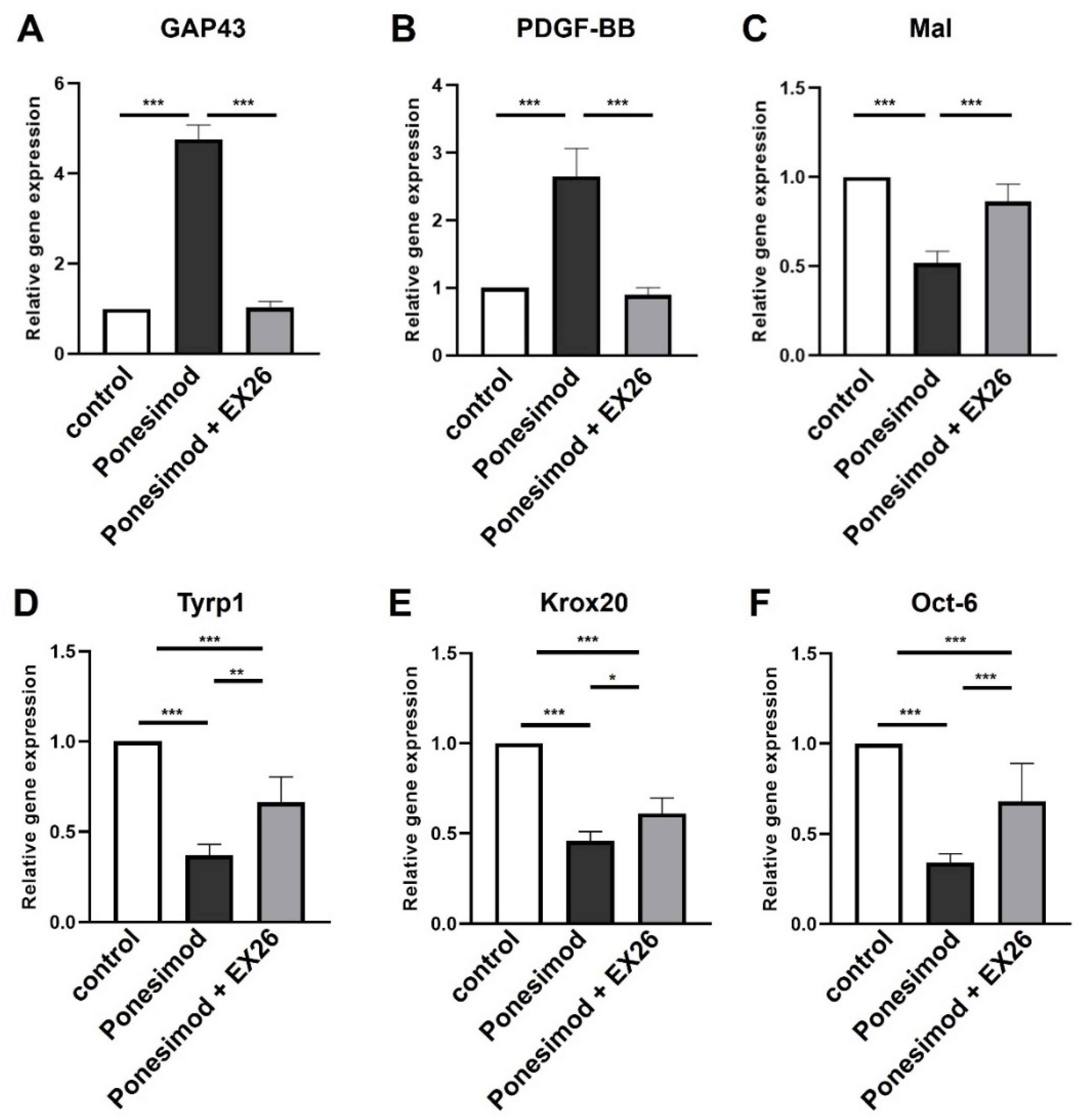 Ijms 23 10311 g003 Ijms 23 10311 g003
