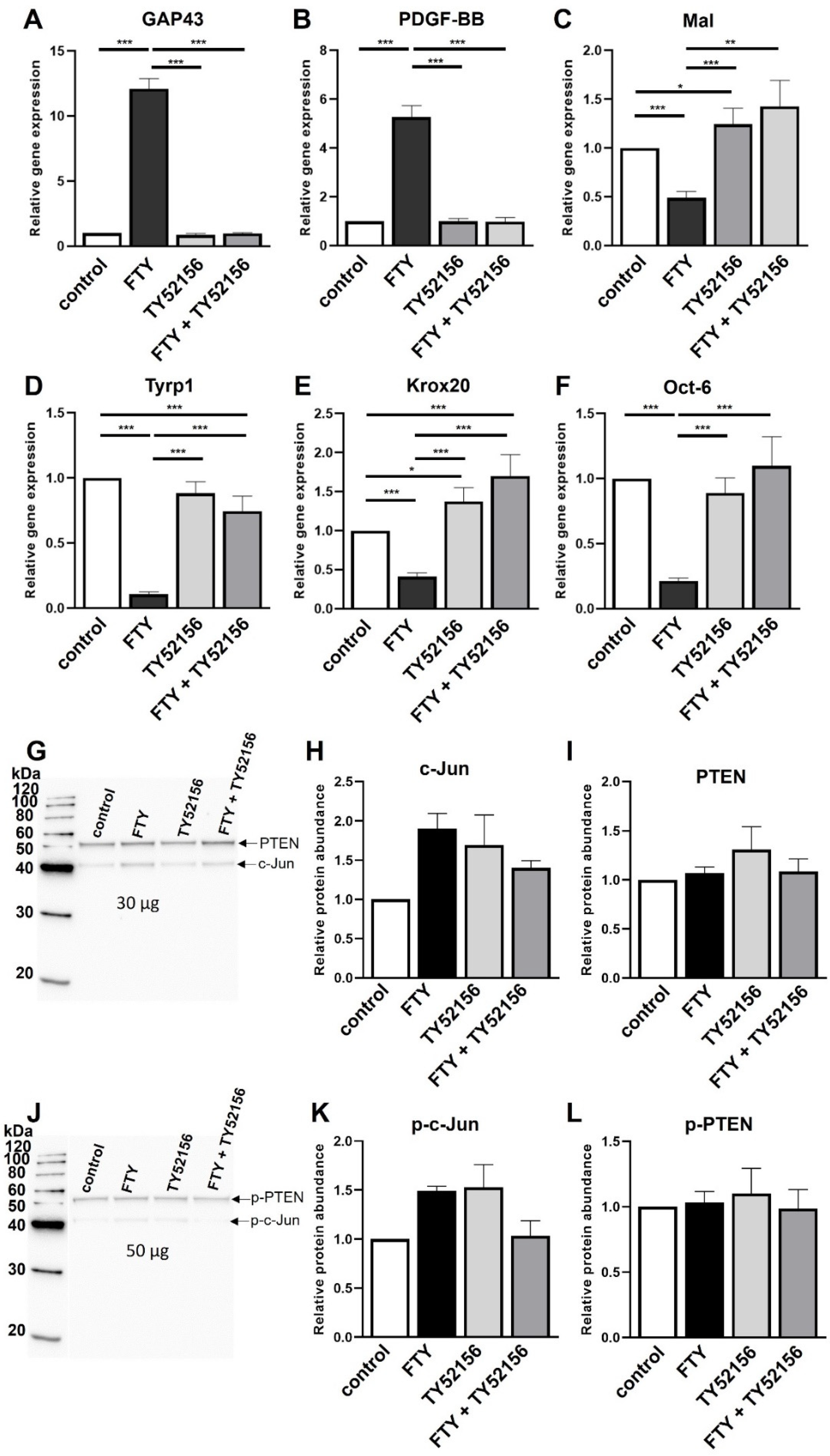 Ijms 23 10311 g004 Ijms 23 10311 g004