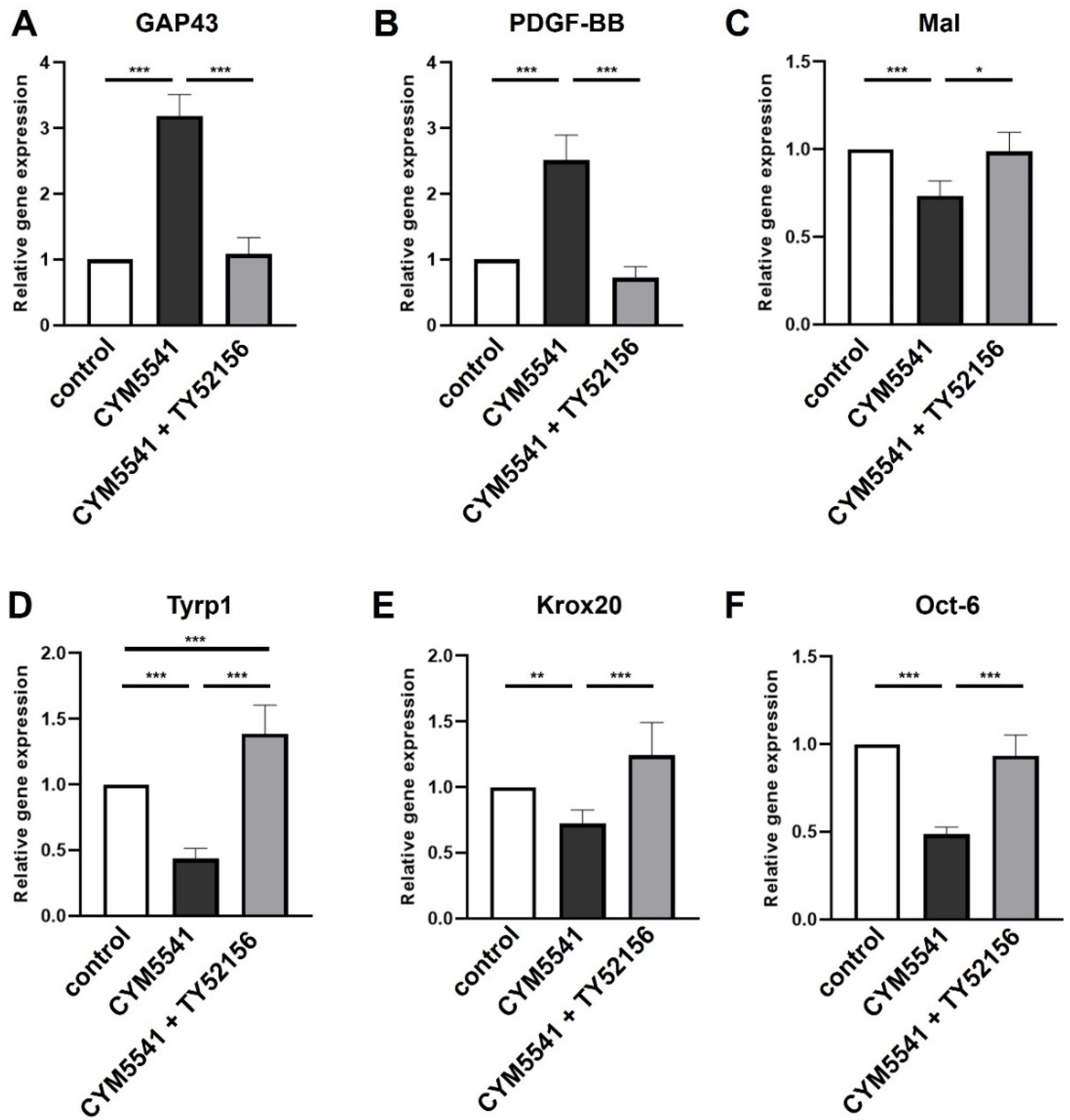 Ijms 23 10311 g005 Ijms 23 10311 g005