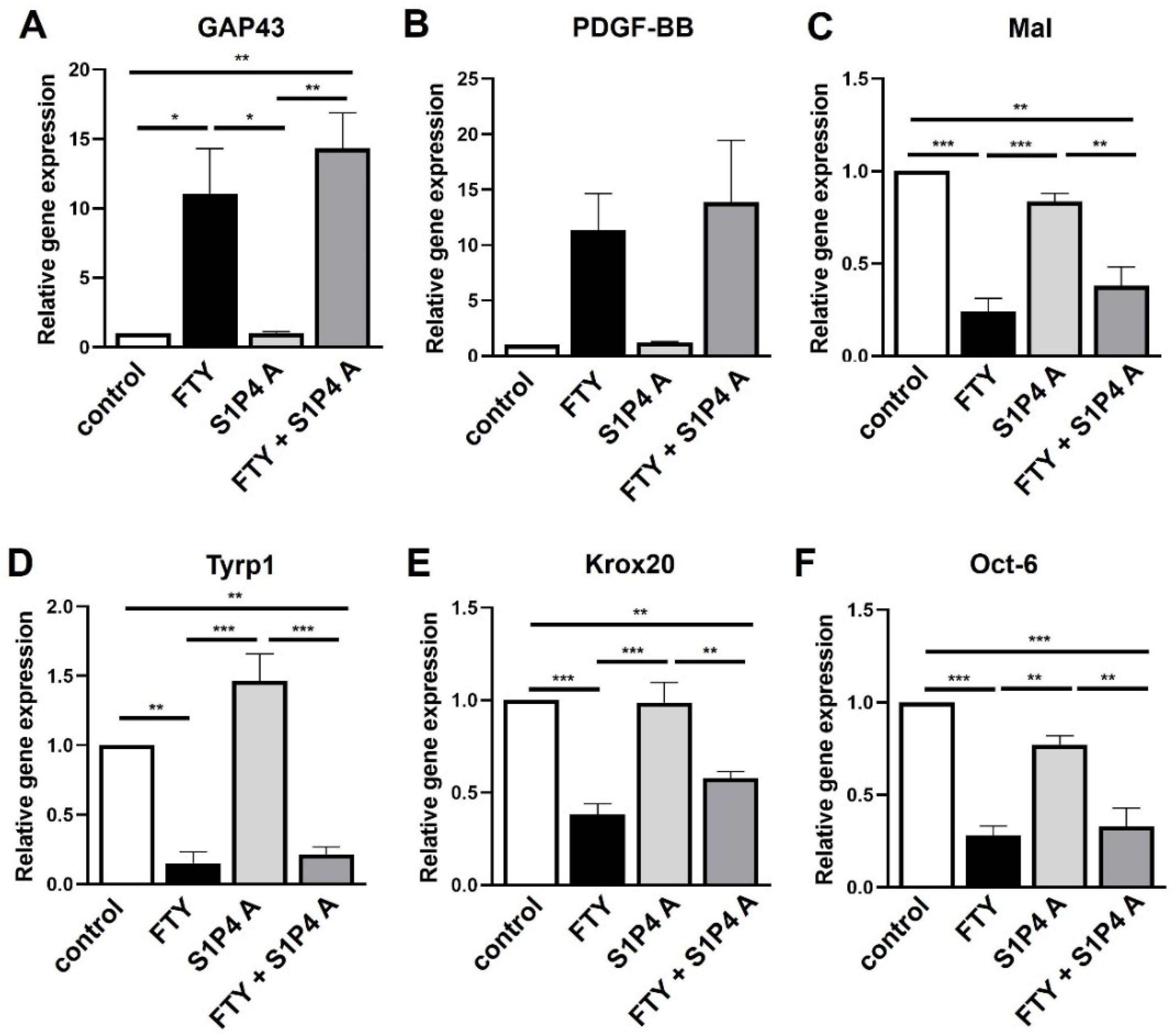 Ijms 23 10311 g007 Ijms 23 10311 g007