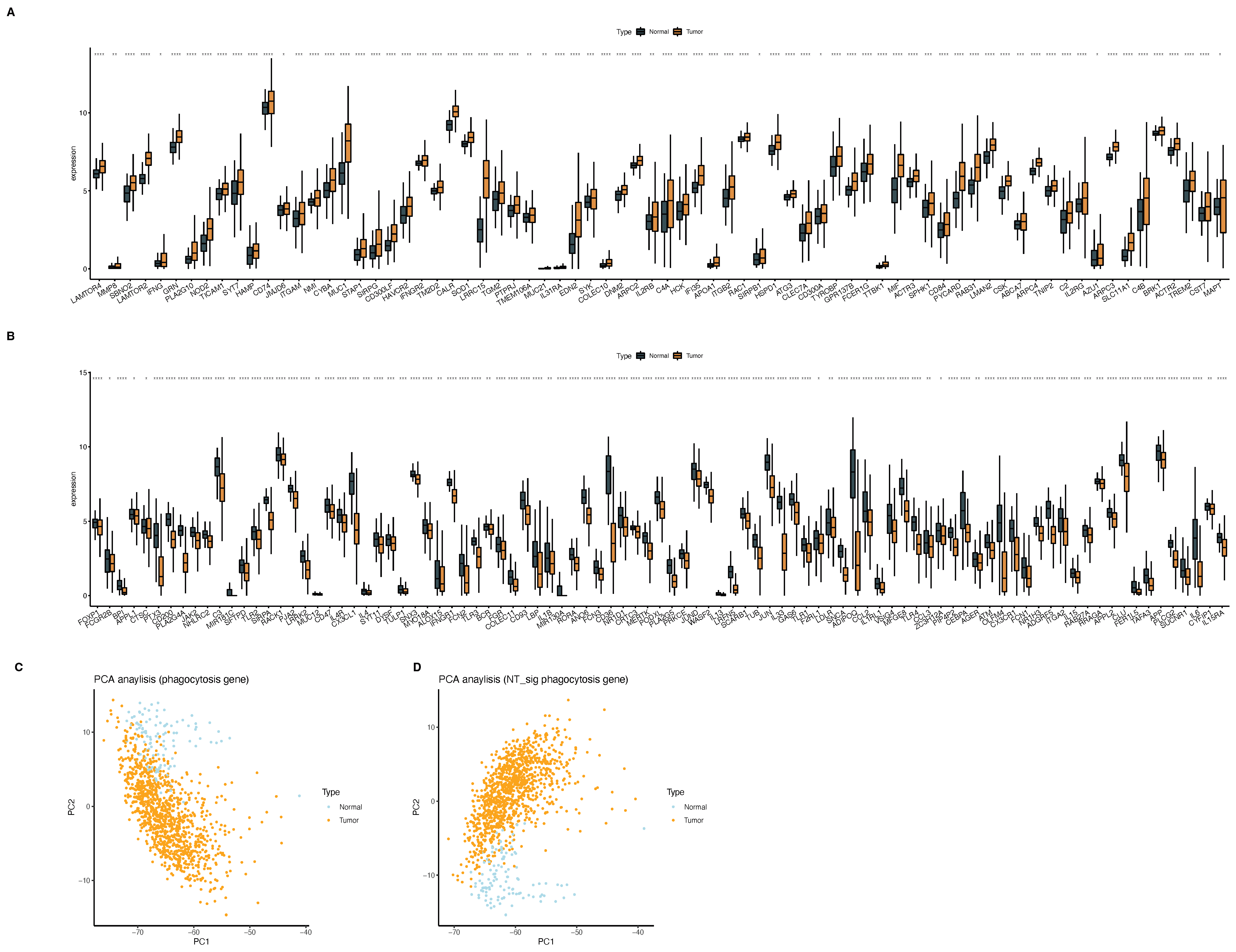 Ijms 23 10312 g003 550