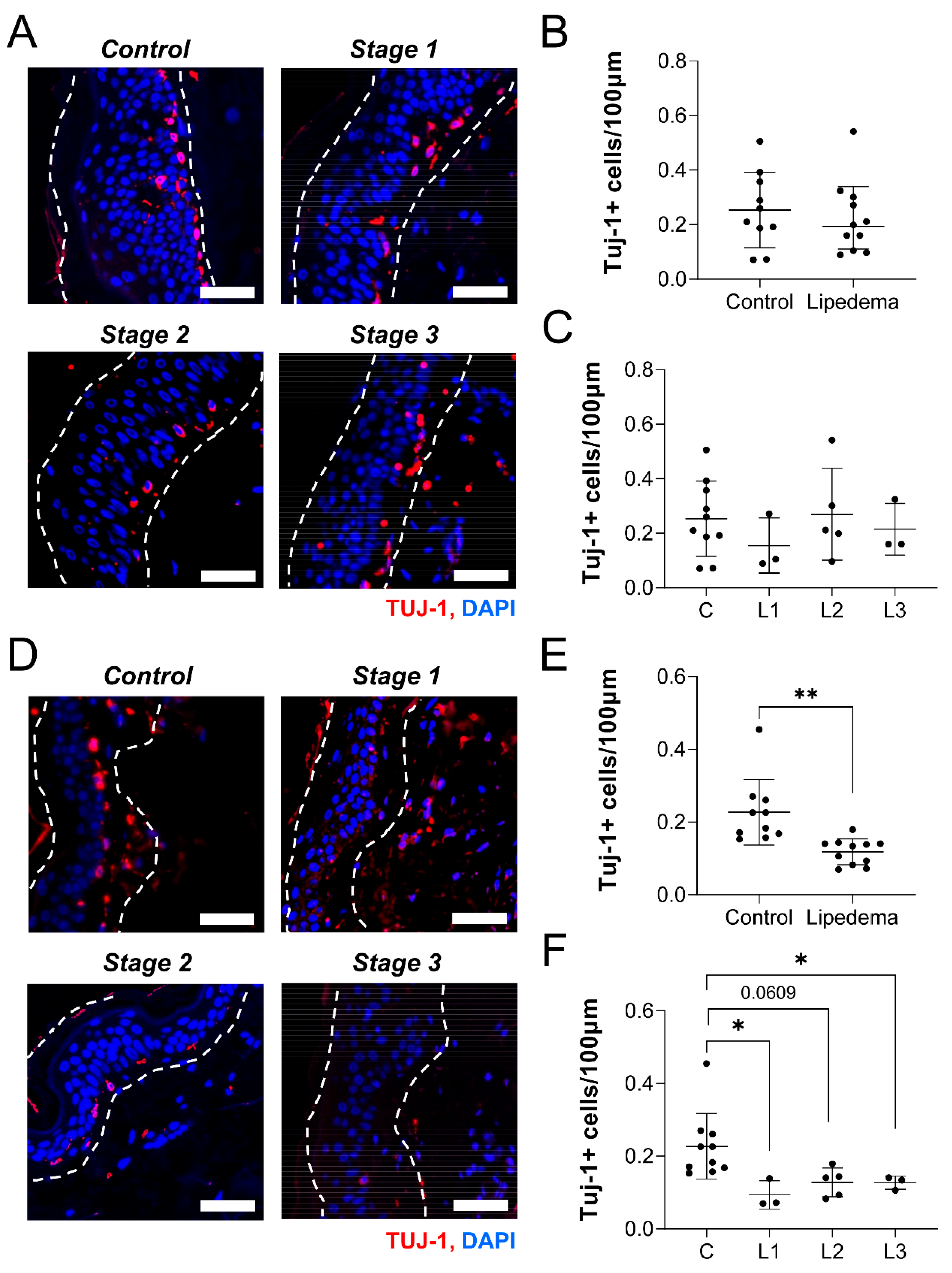 Ijms 23 10313 g004 550