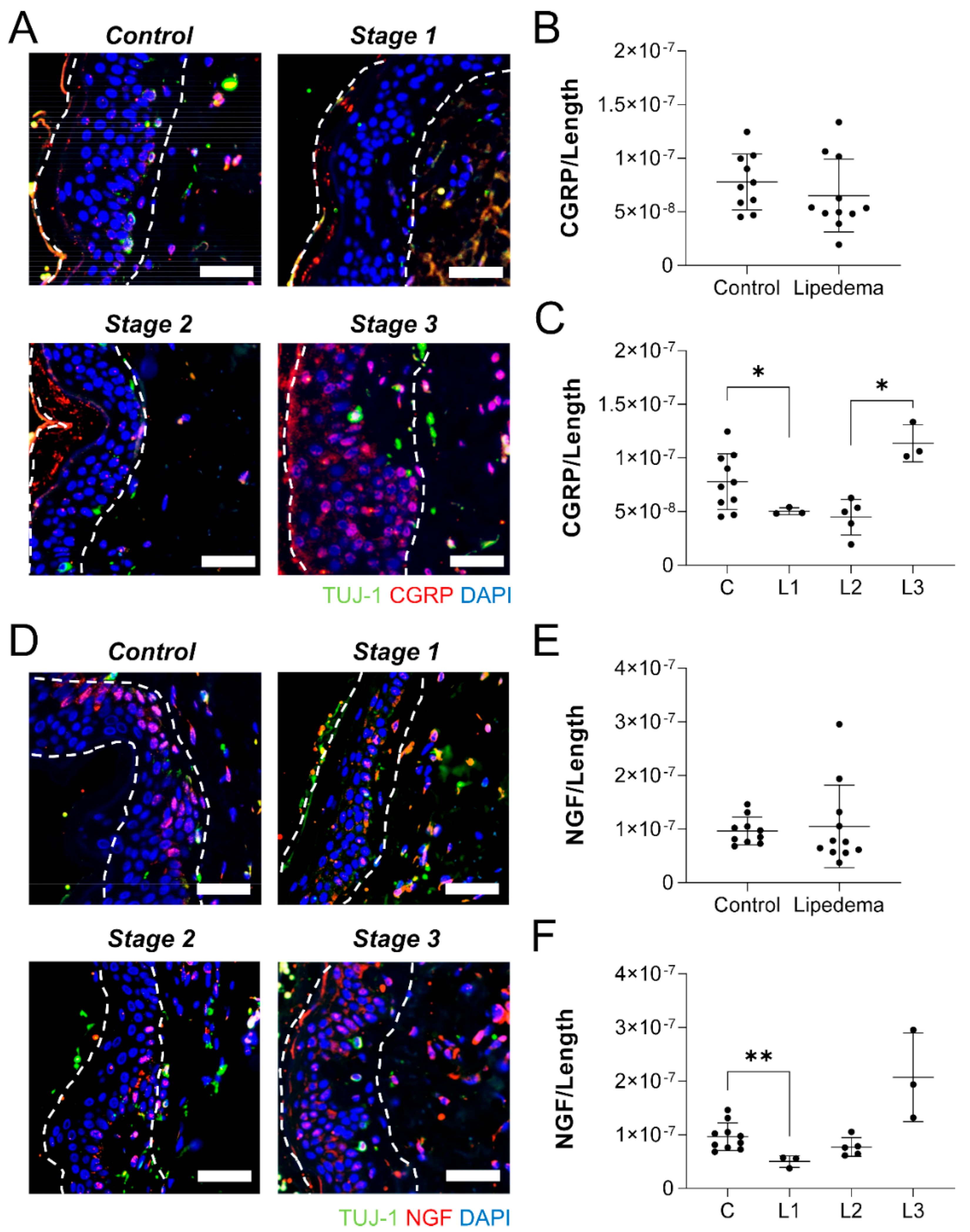 Ijms 23 10313 g005 550