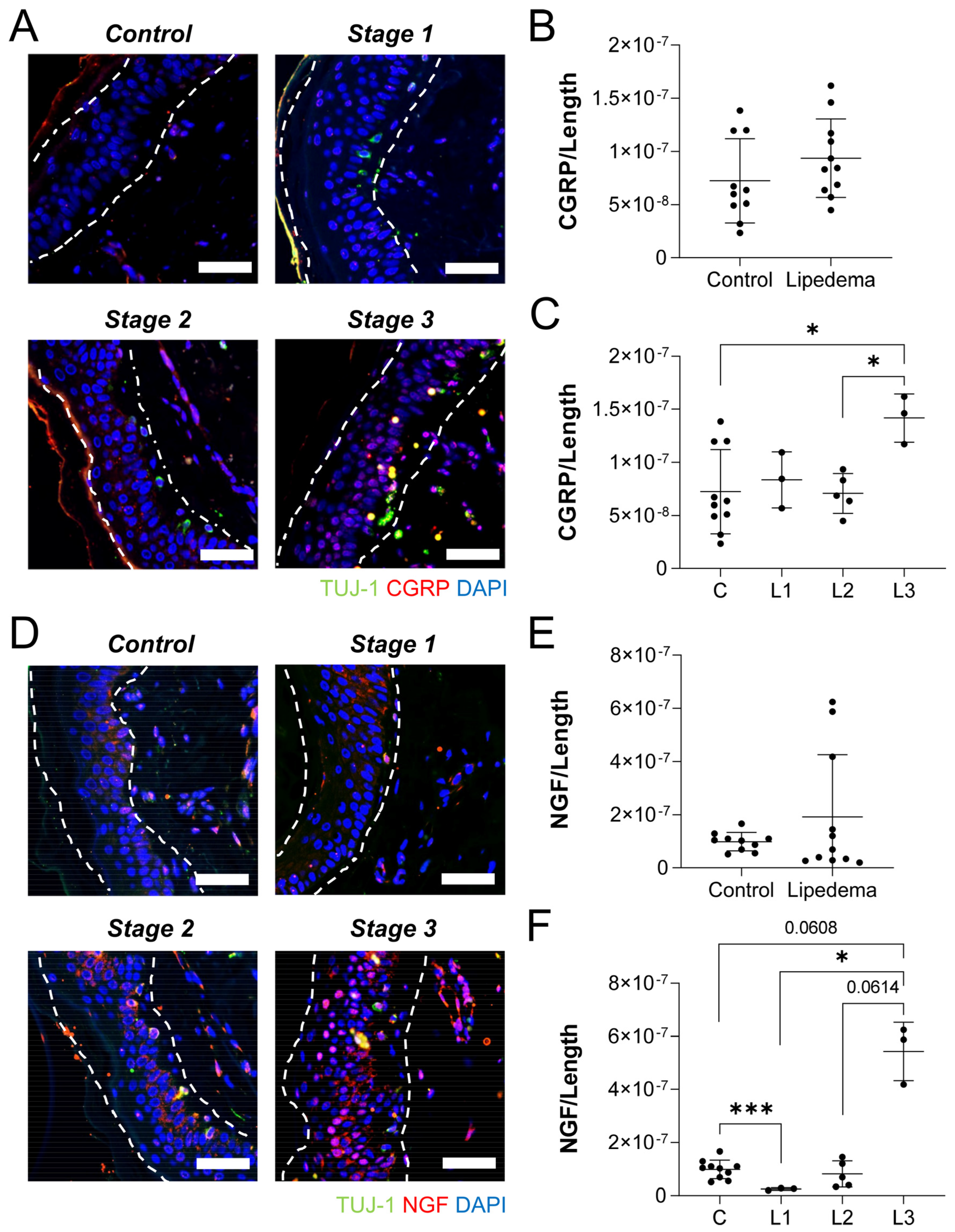 Ijms 23 10313 g006 550