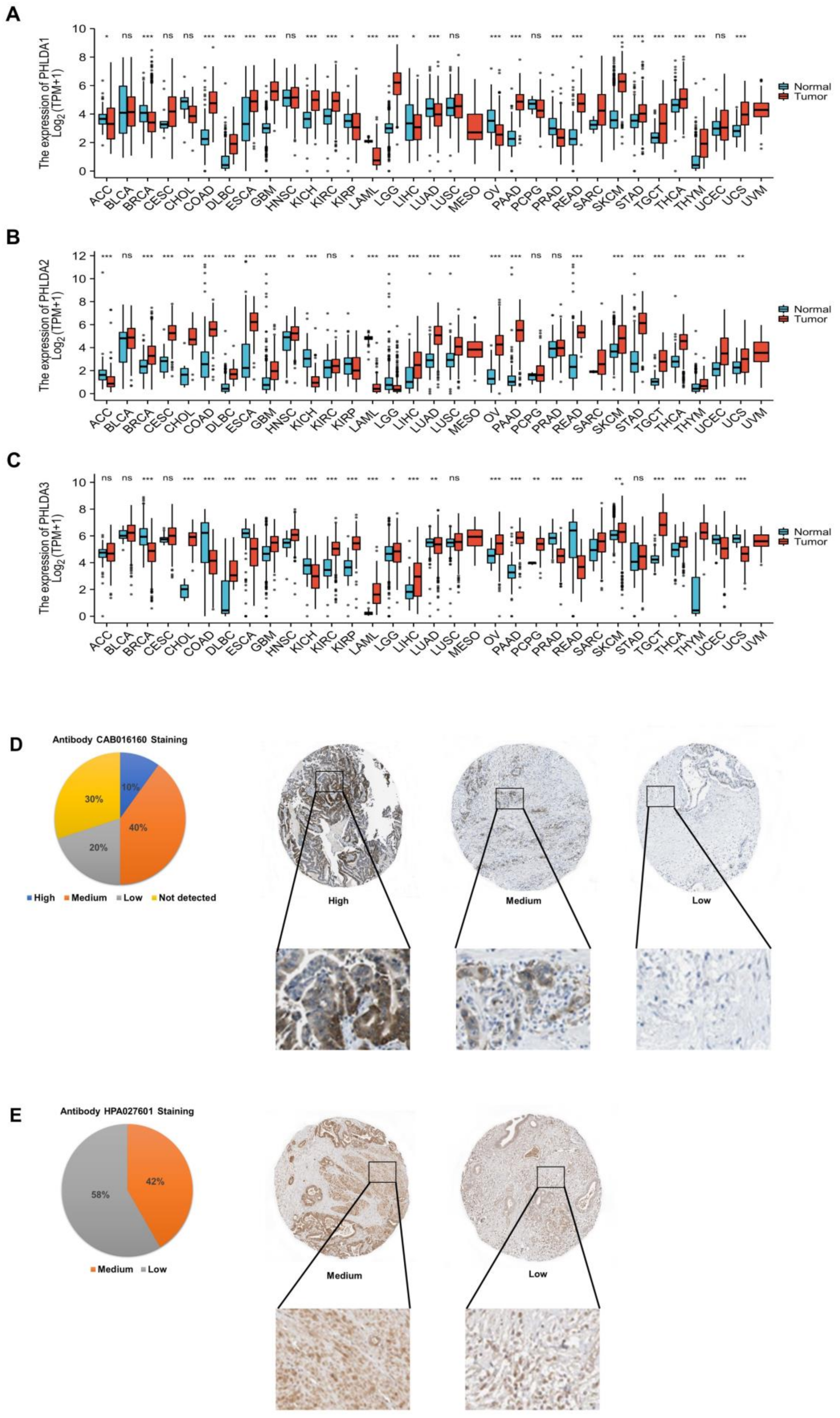 Ijms 23 10316 g001 Ijms 23 10316 g001