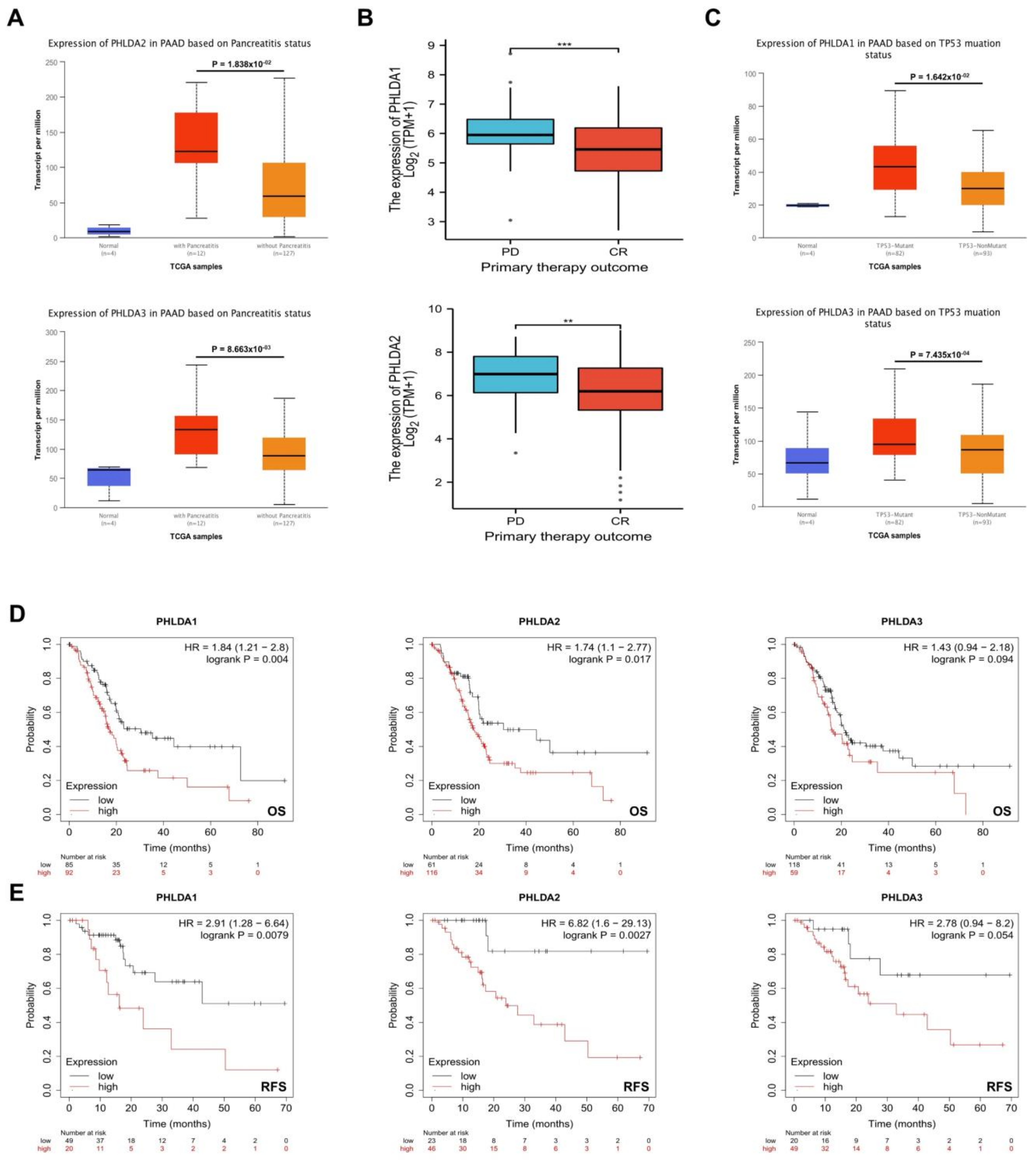 Ijms 23 10316 g002 Ijms 23 10316 g002