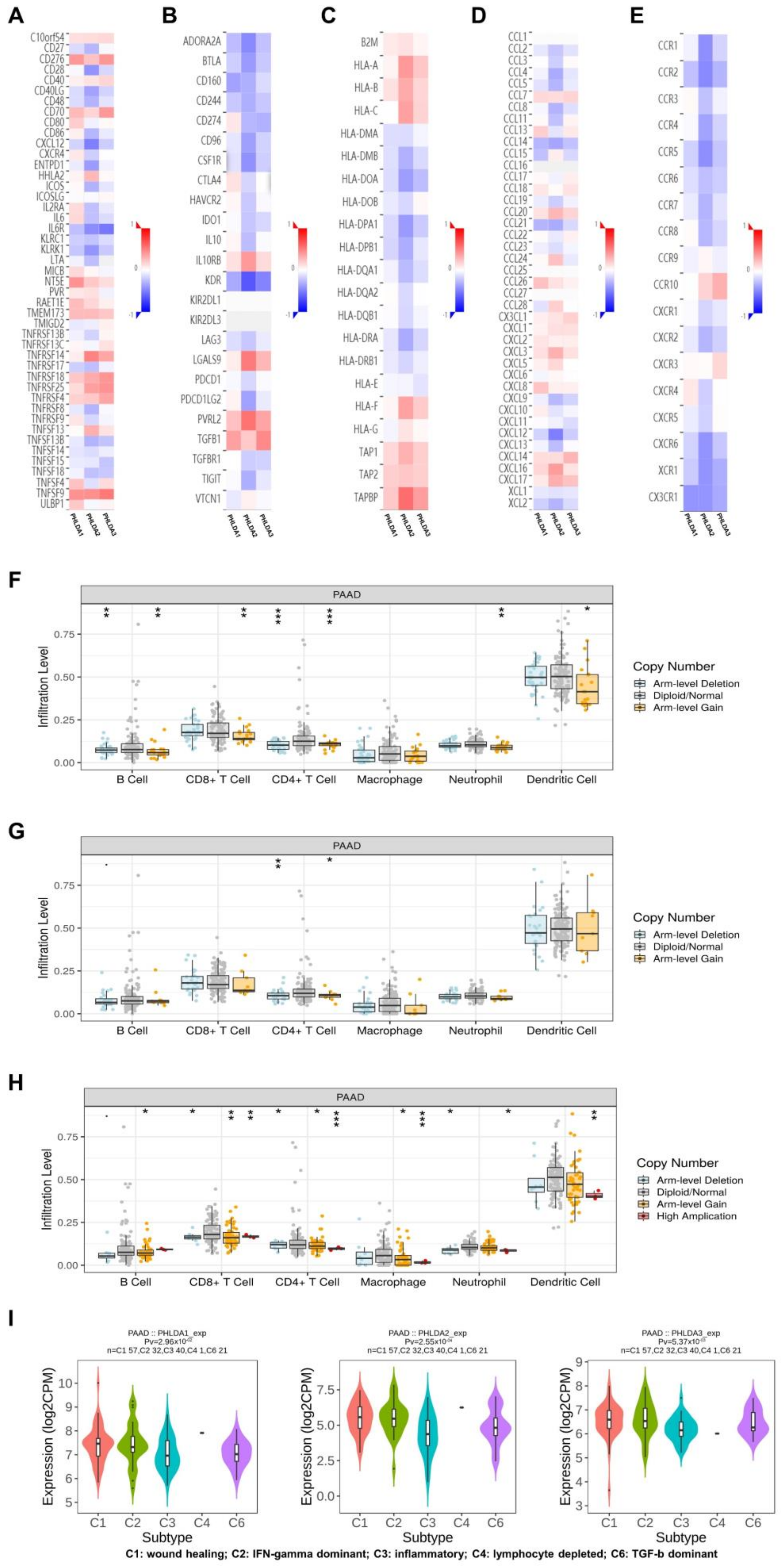 Ijms 23 10316 g004 Ijms 23 10316 g004