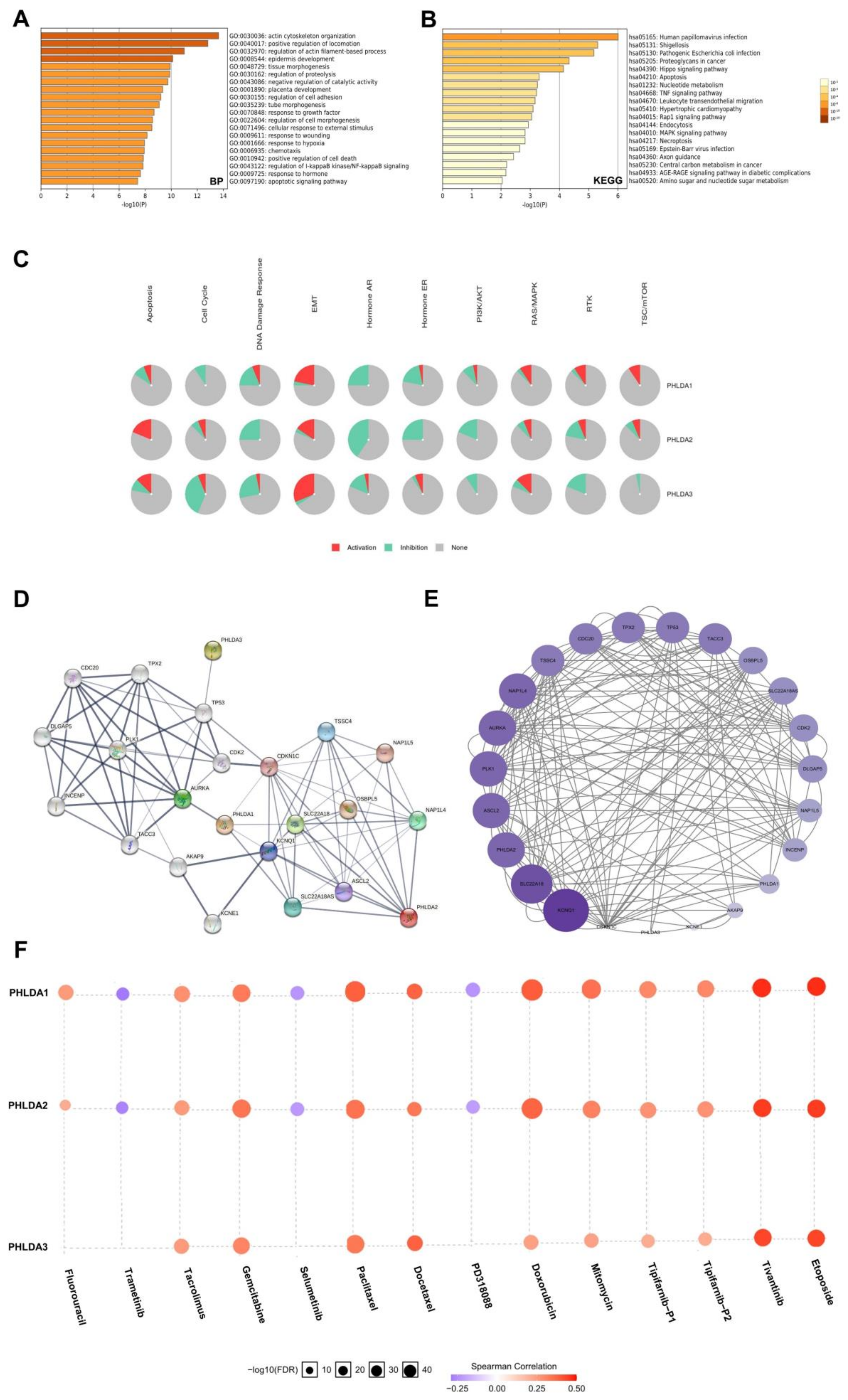 Ijms 23 10316 g005 Ijms 23 10316 g005