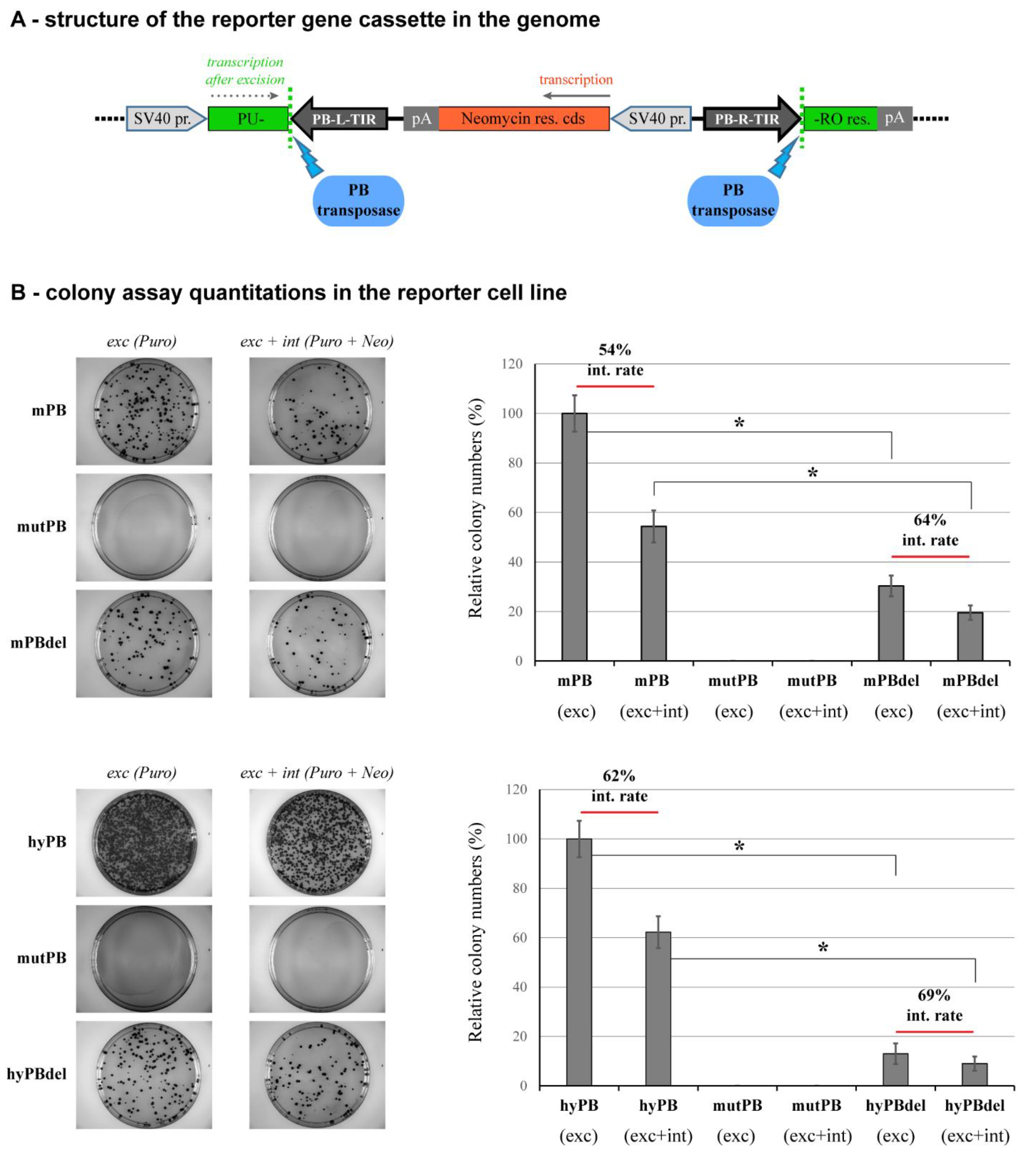 Ijms 23 10317 g004 Ijms 23 10317 g004