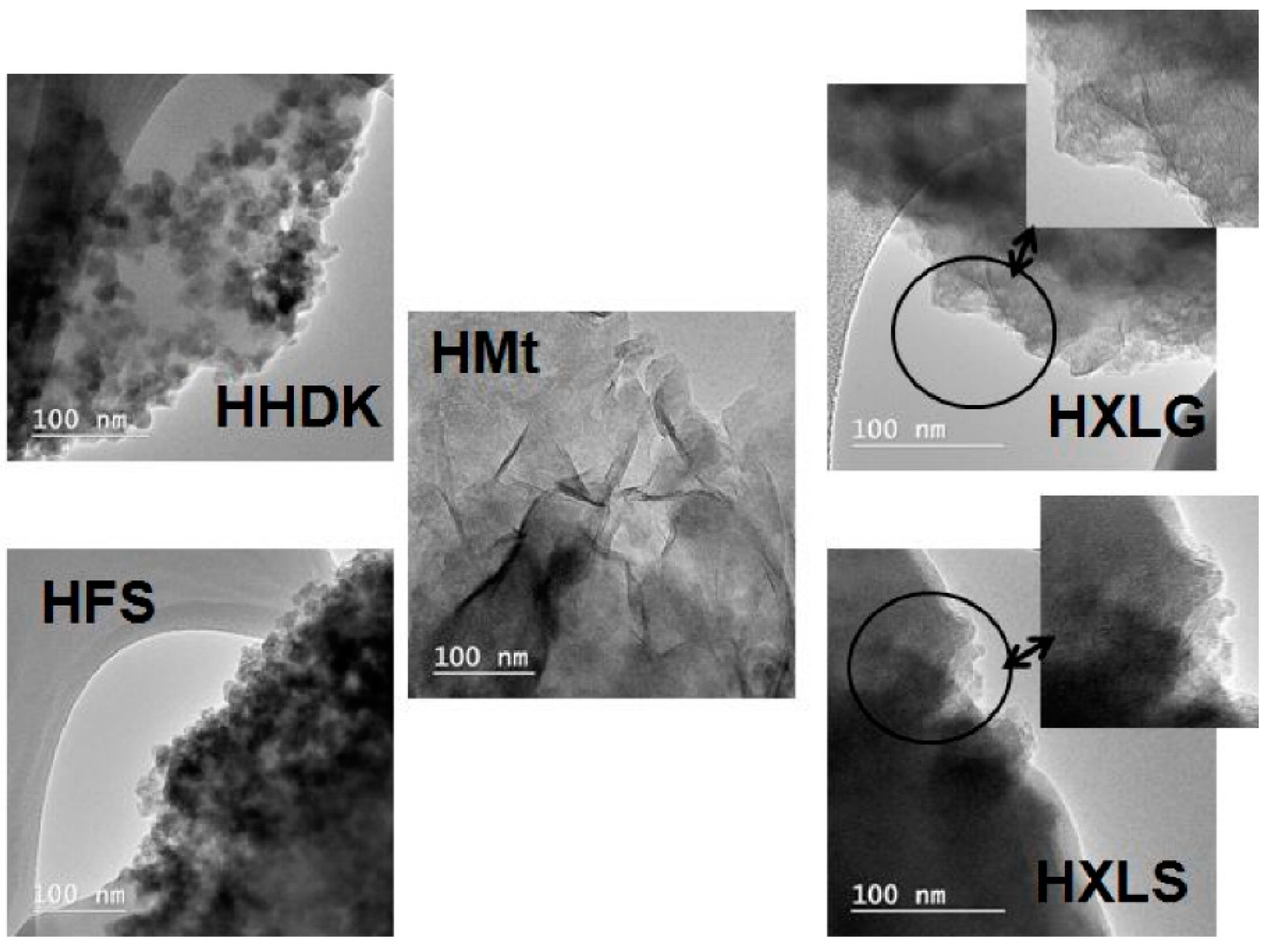 Ijms 23 10320 g003 550