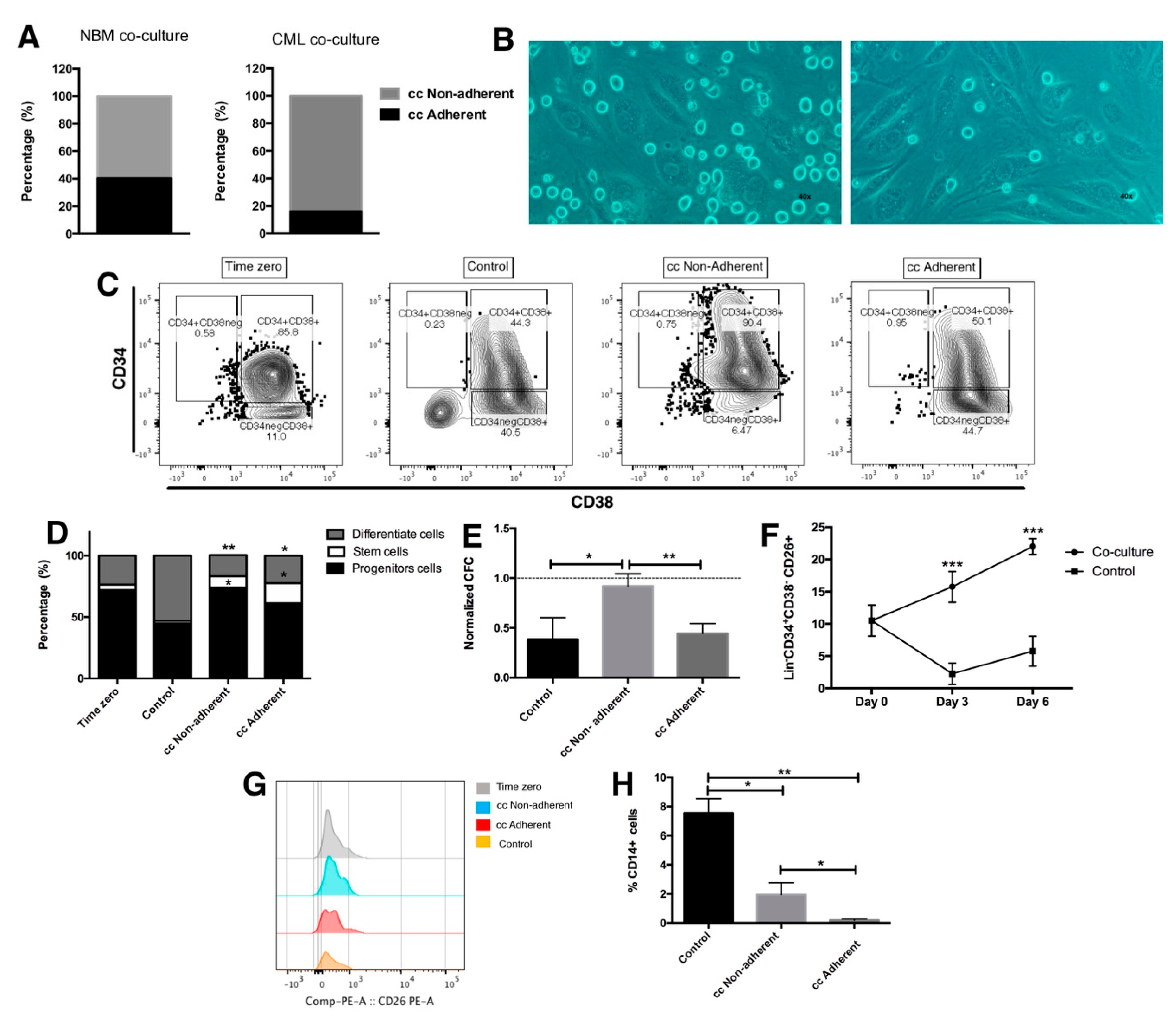 Ijms 23 10326 g002 550