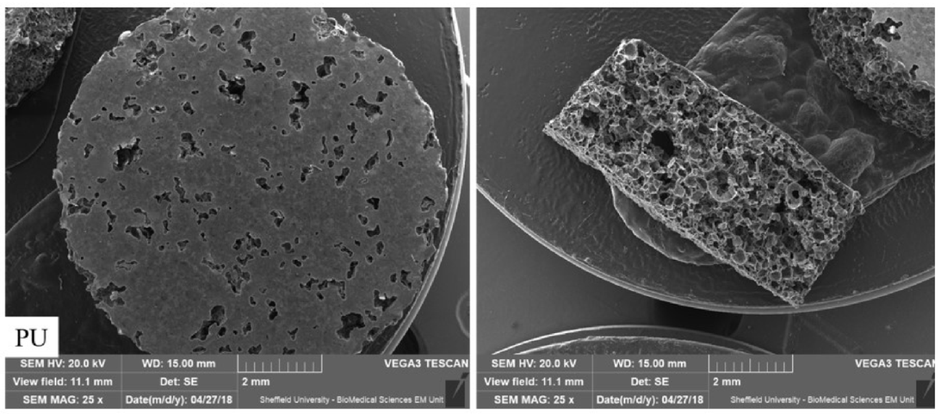 Ijms 23 10333 g001a 550