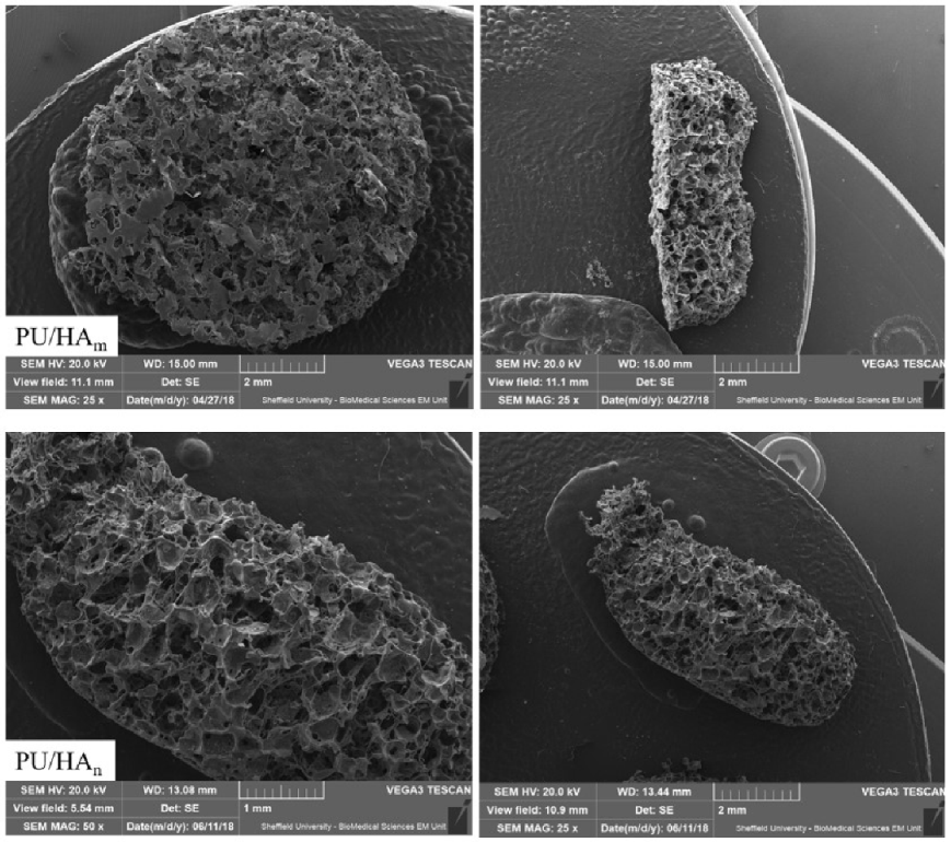 Ijms 23 10333 g001b 550