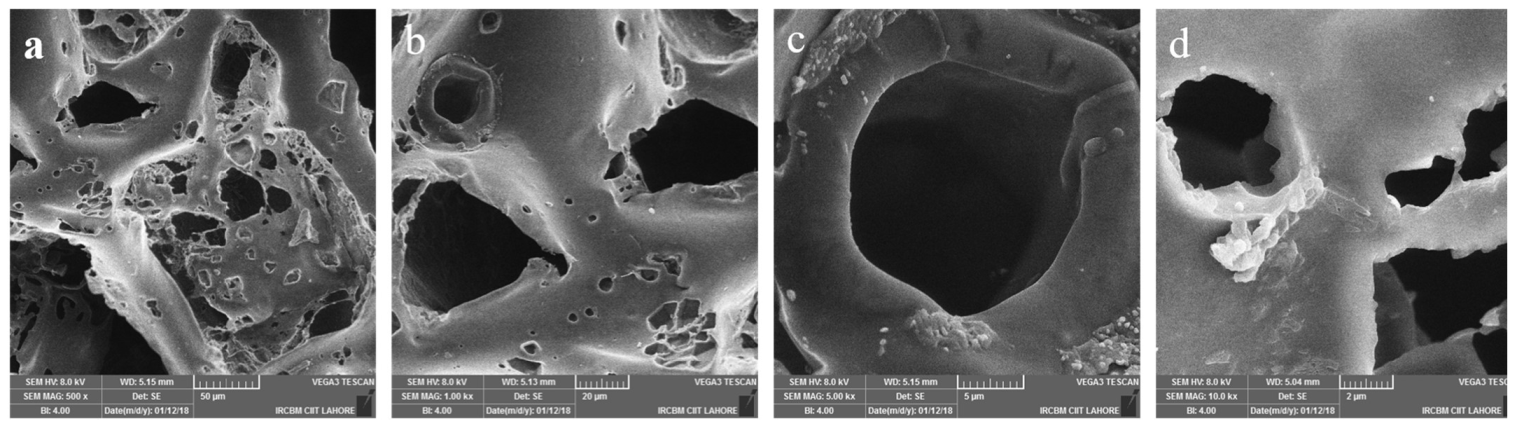 Ijms 23 10333 g002a 550