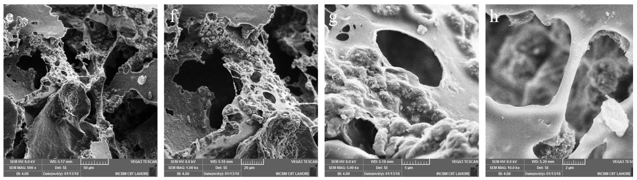 Ijms 23 10333 g002b 550