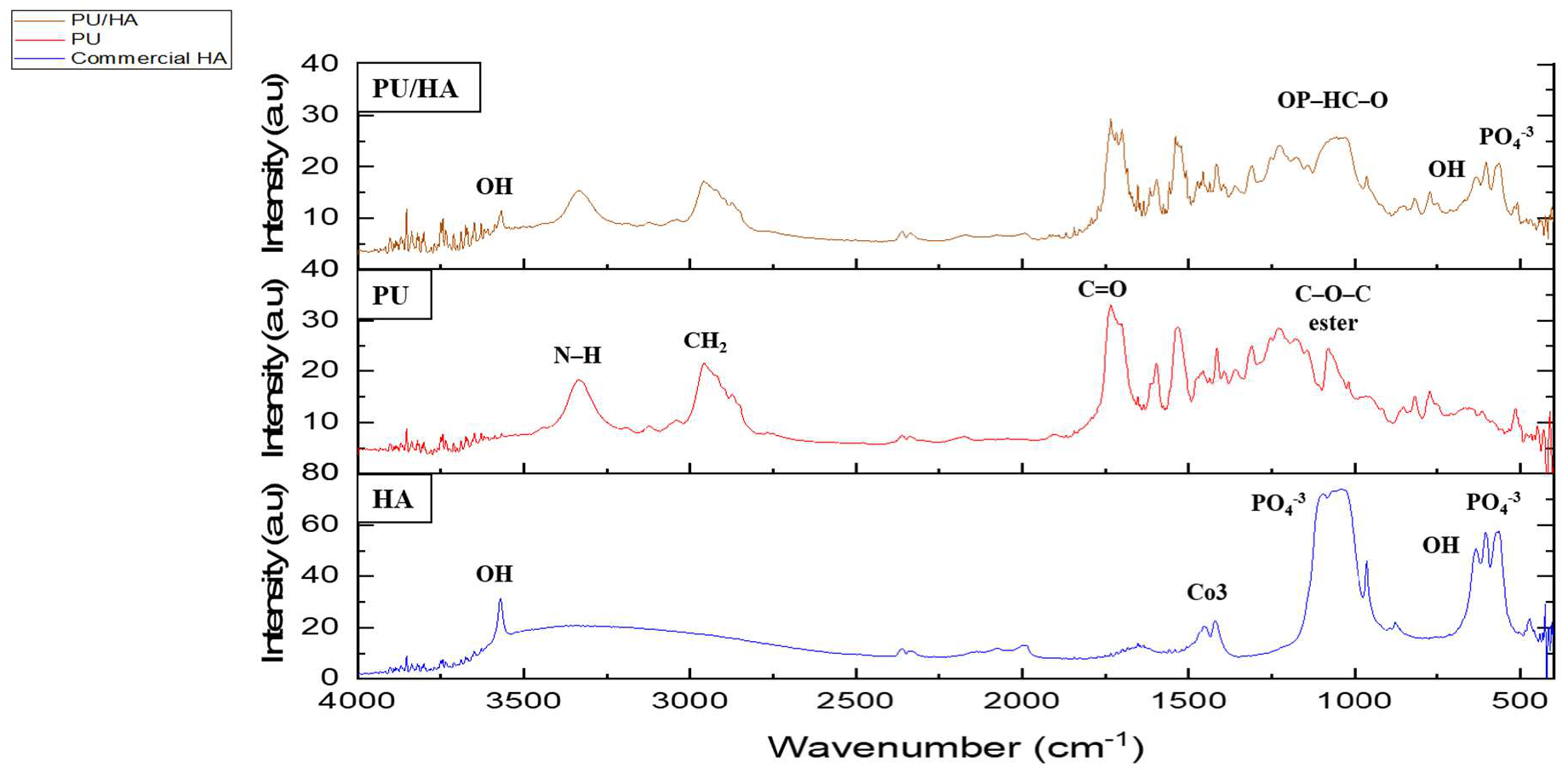 Ijms 23 10333 g003 550