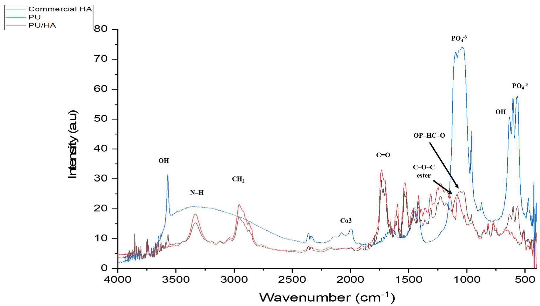 Ijms 23 10333 g004 550