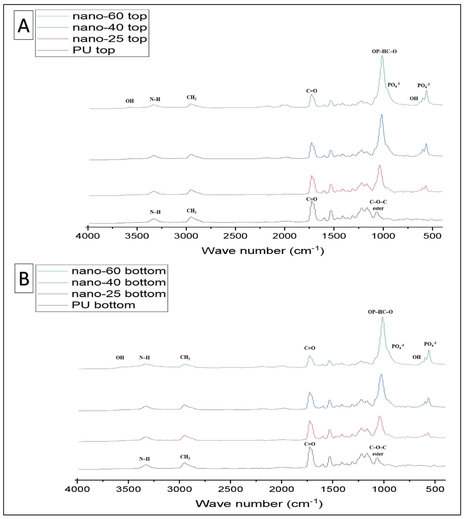 Ijms 23 10333 g006 550