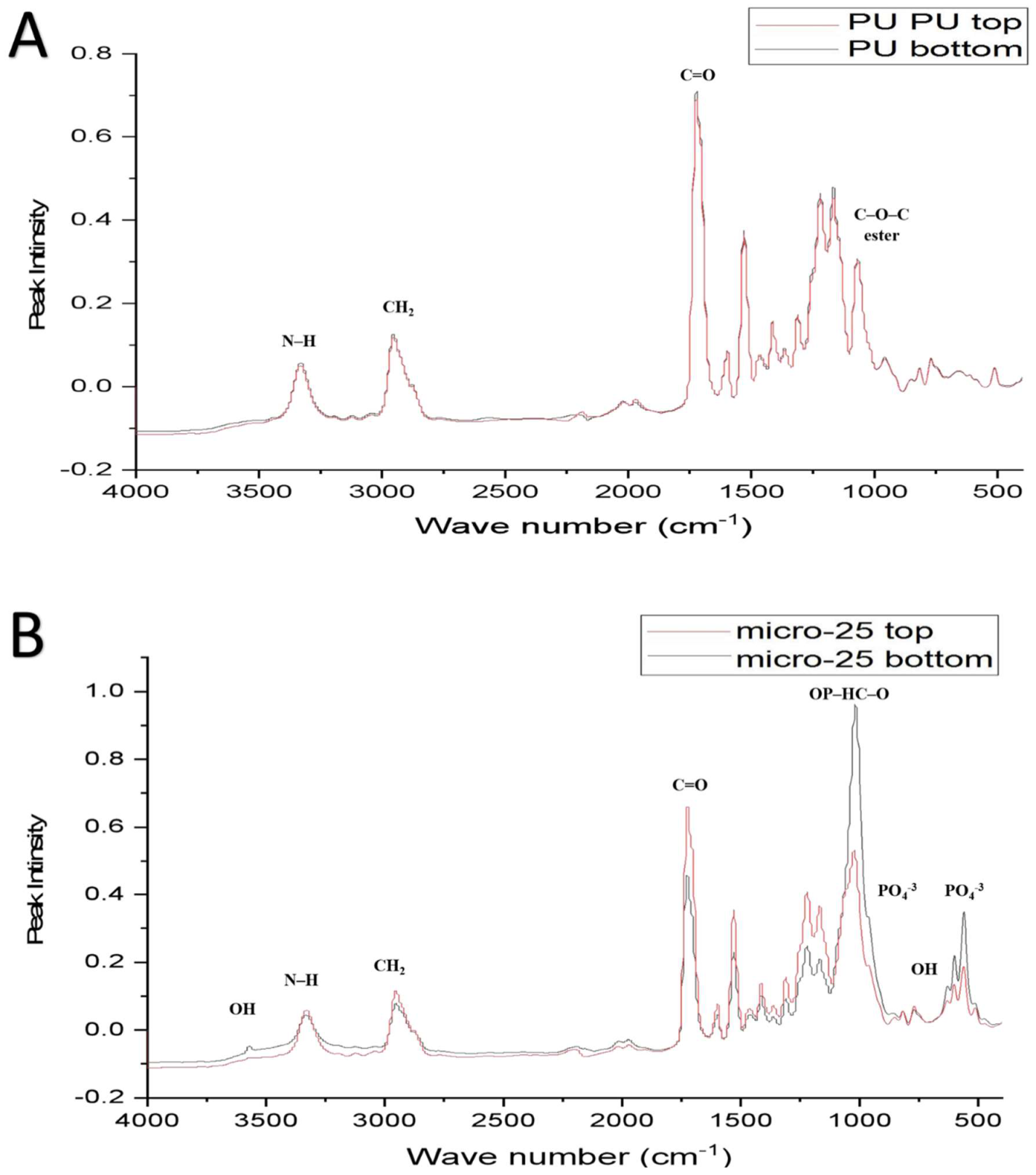 Ijms 23 10333 g007a 550