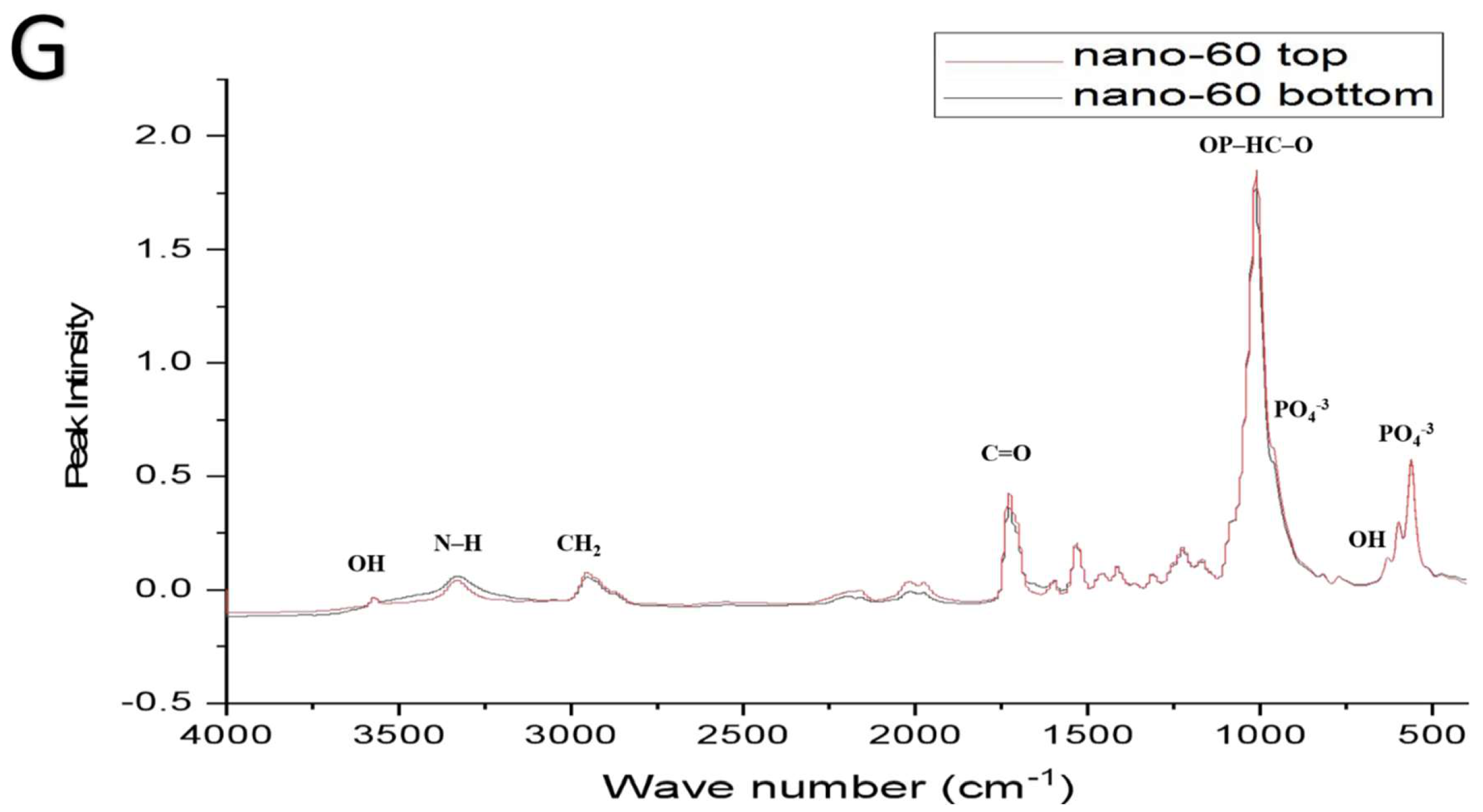 Ijms 23 10333 g007d 550