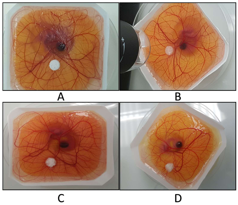 Ijms 23 10333 g013 550