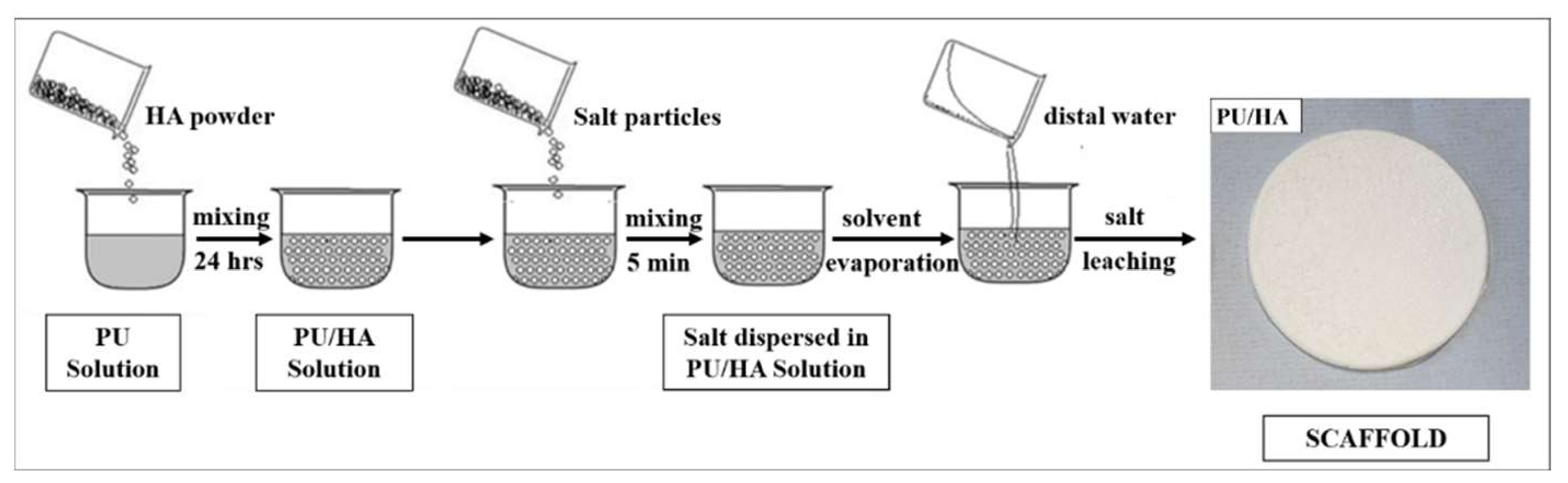 Ijms 23 10333 g016 550