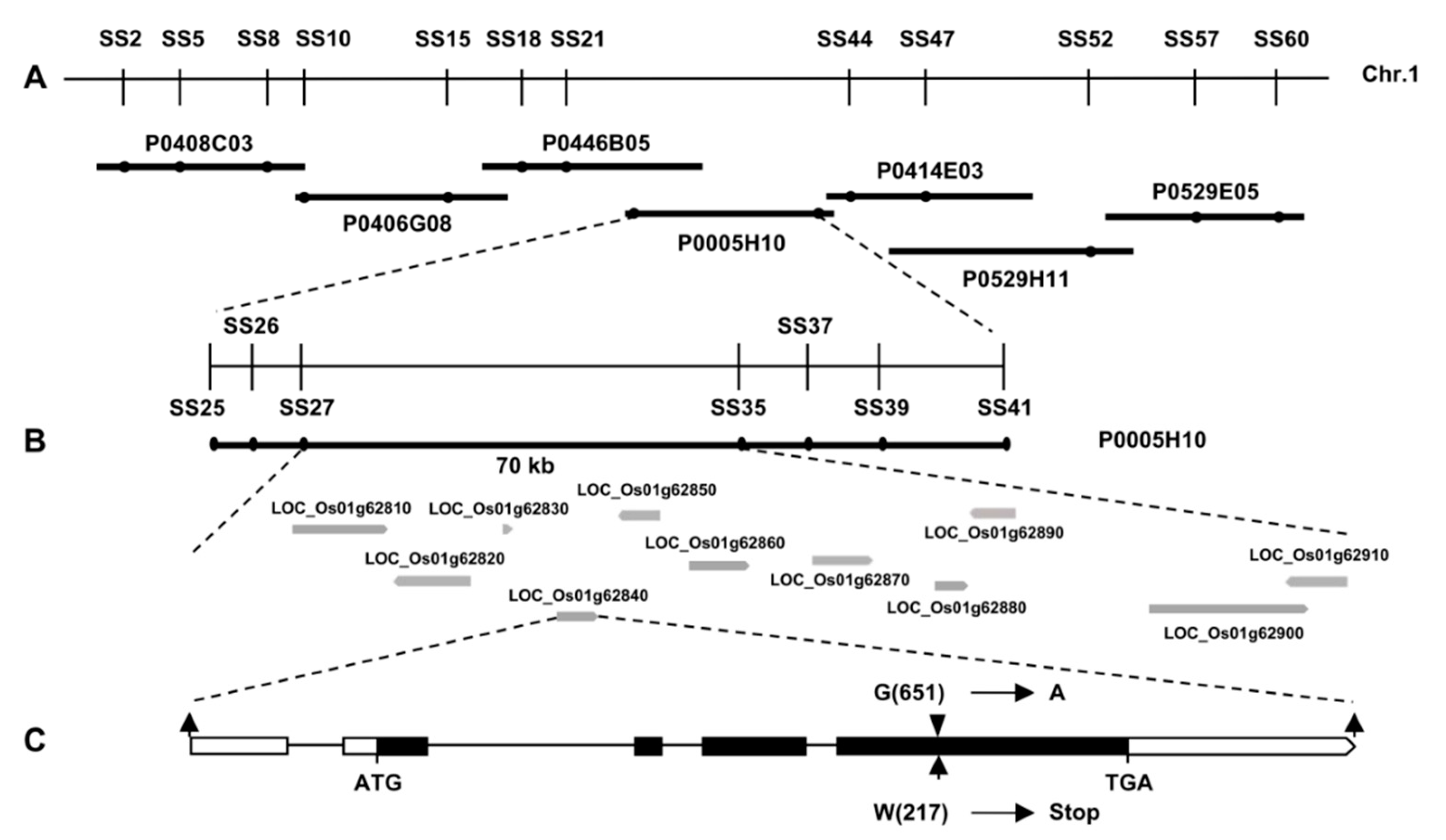 Ijms 23 10338 g002 550