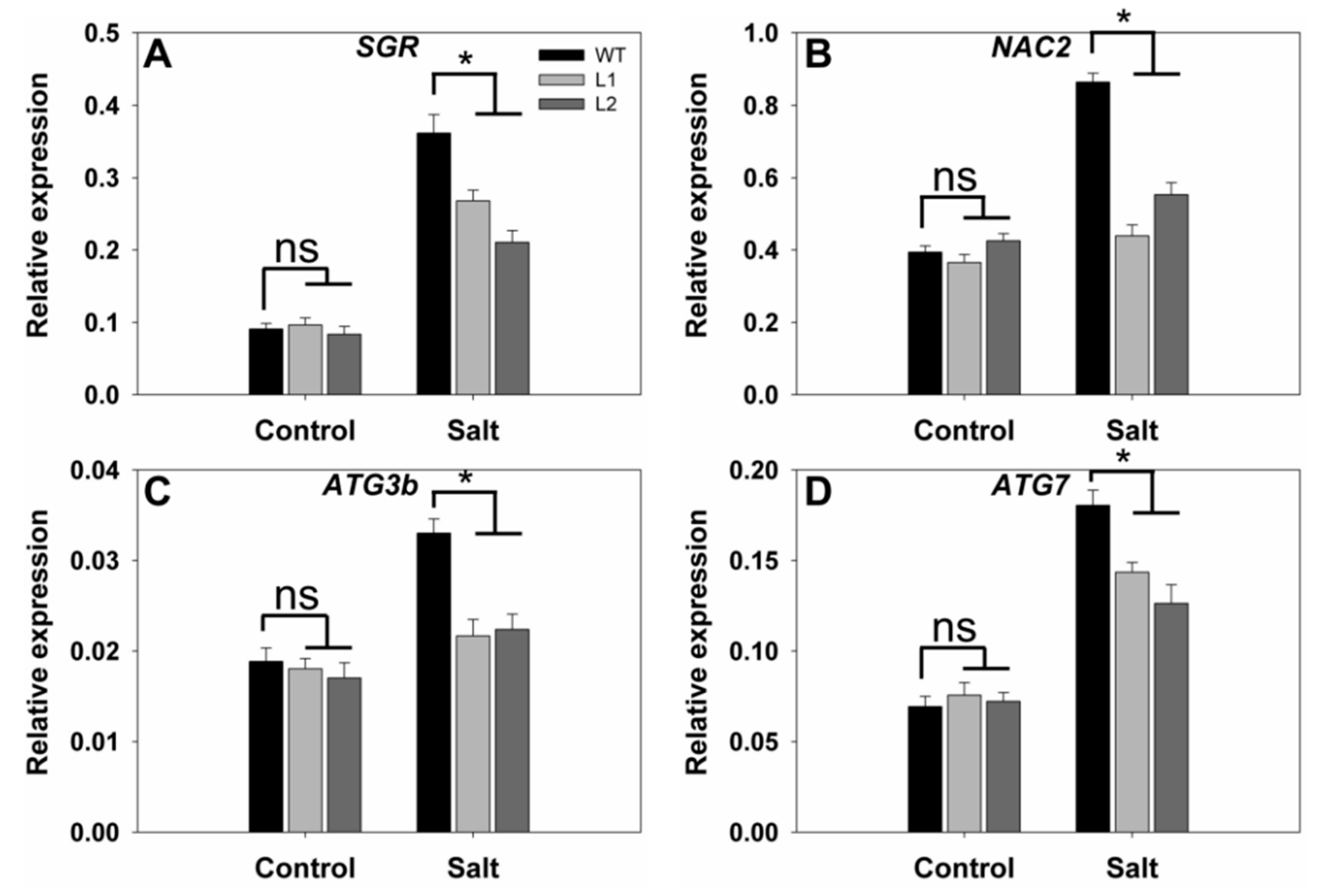 Ijms 23 10338 g008 550