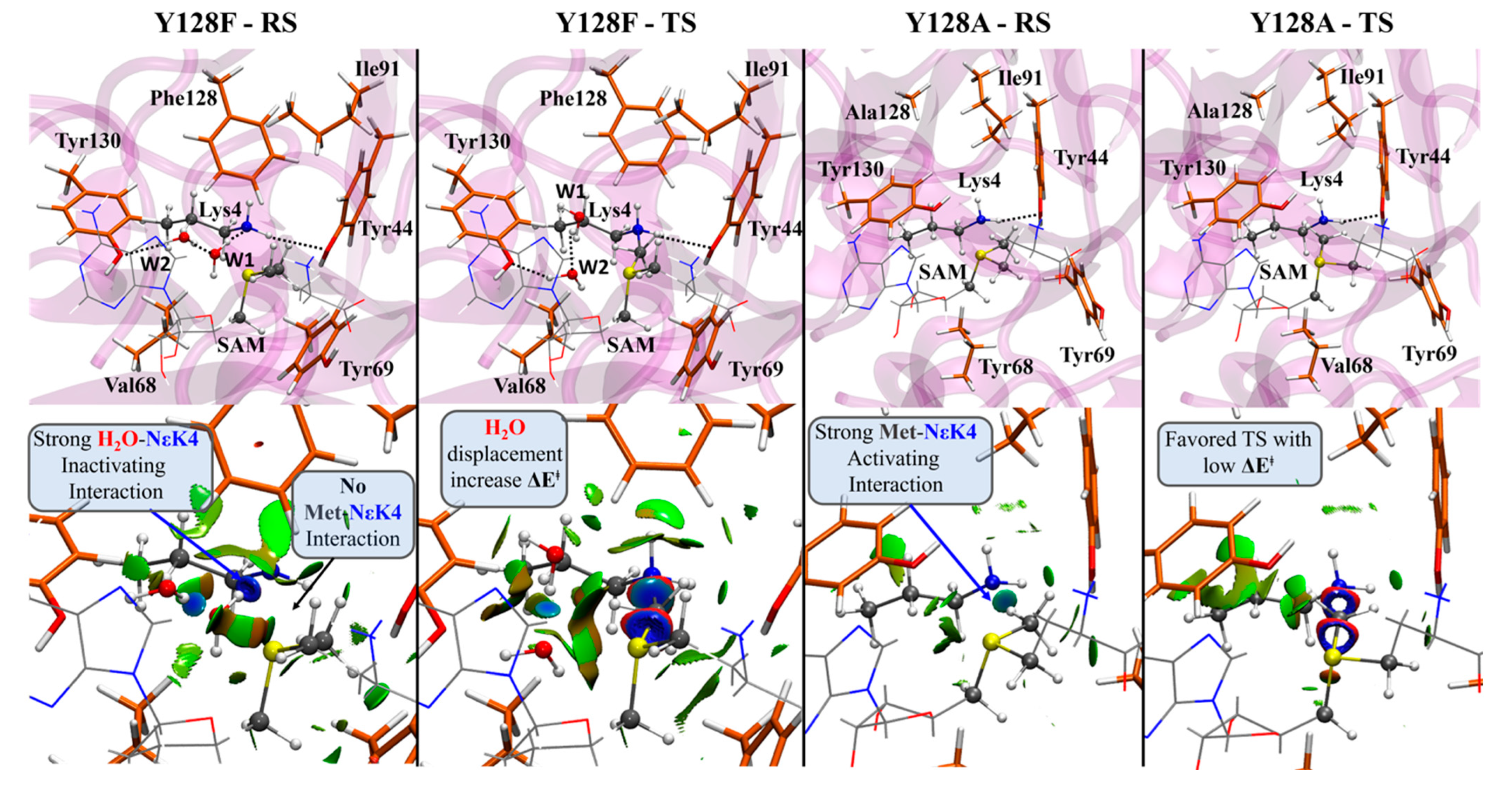 Ijms 23 10339 g001 550