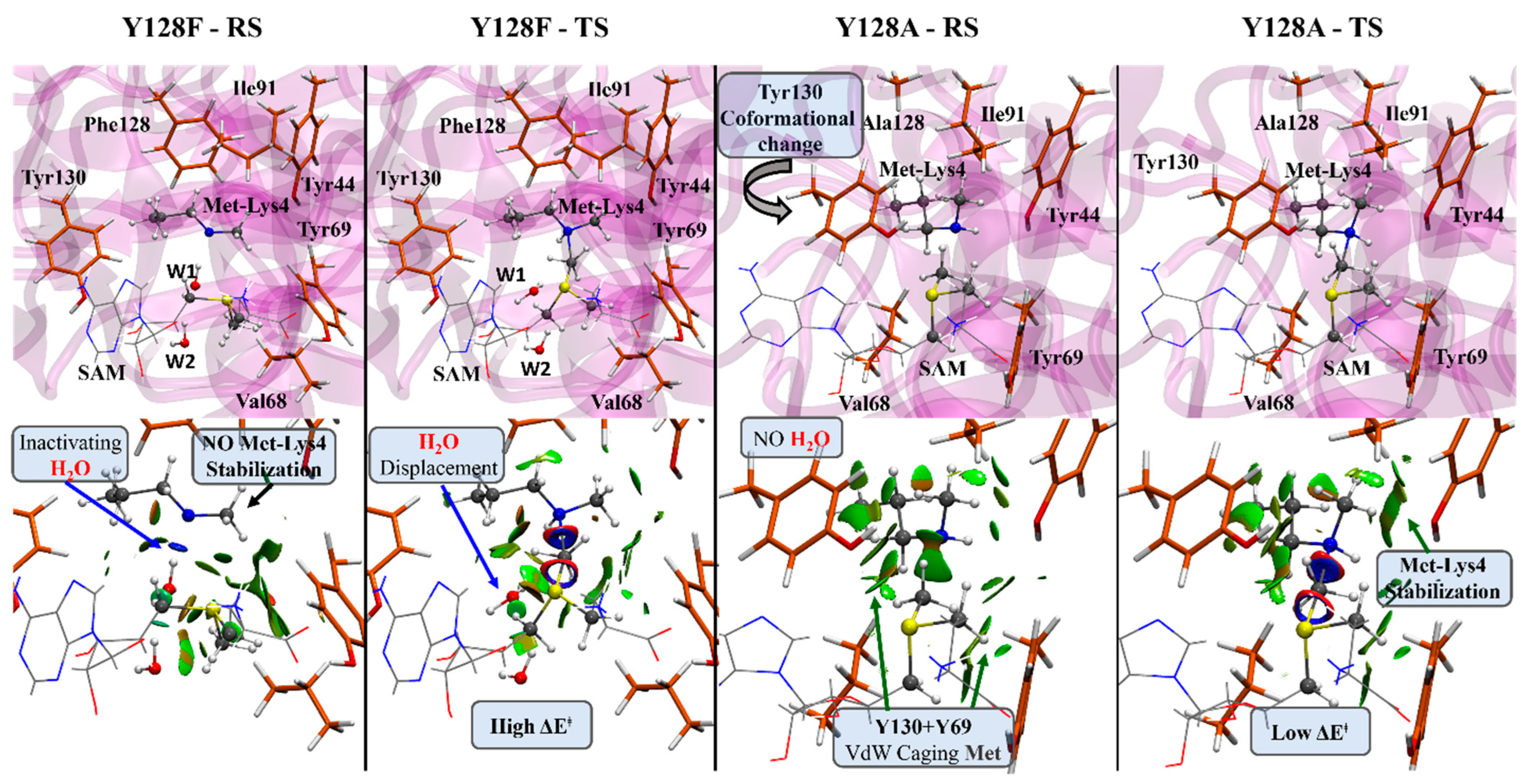 Ijms 23 10339 g003 550