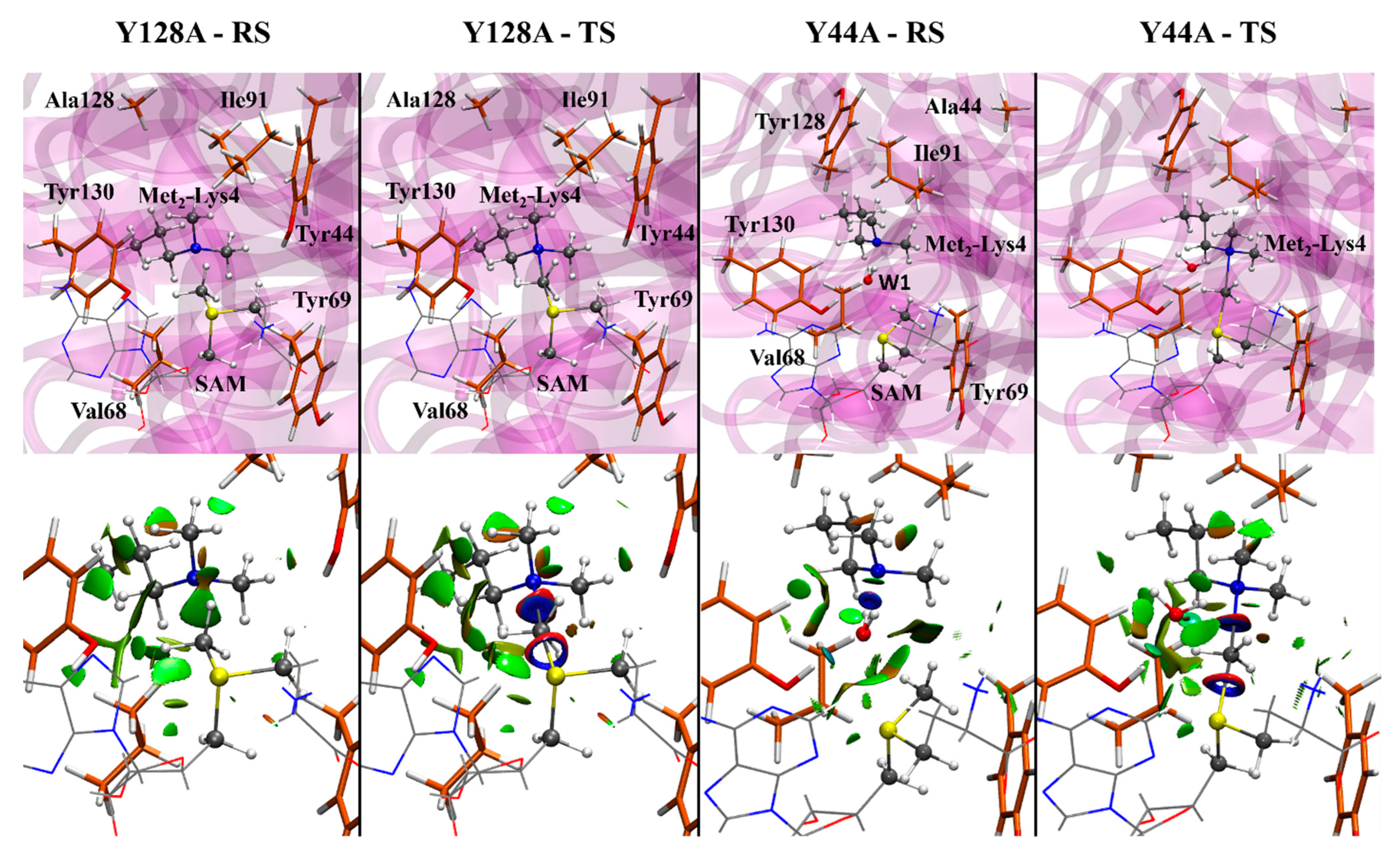 Ijms 23 10339 g005 550