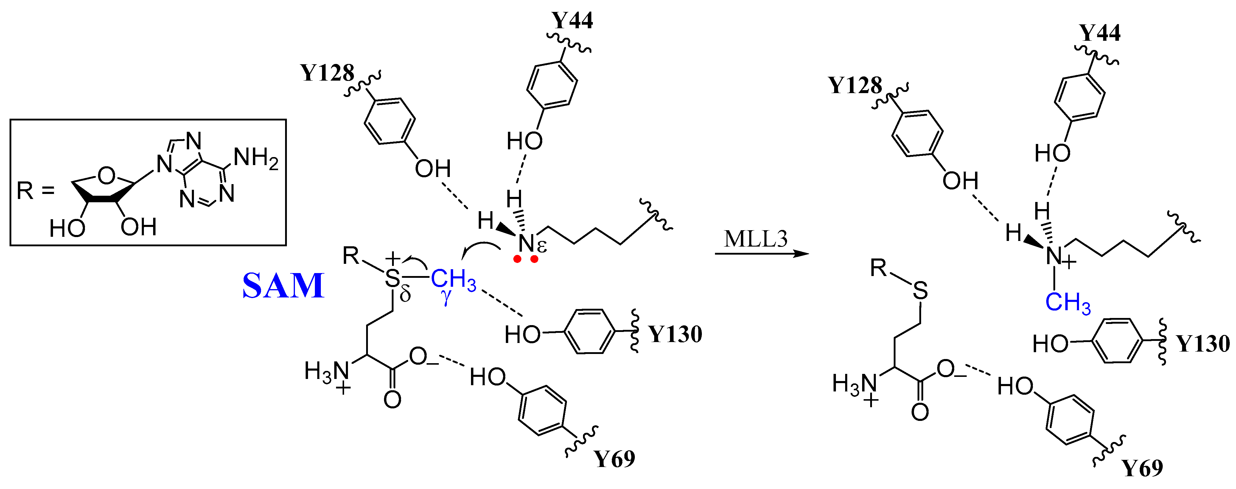 Ijms 23 10339 sch001 550
