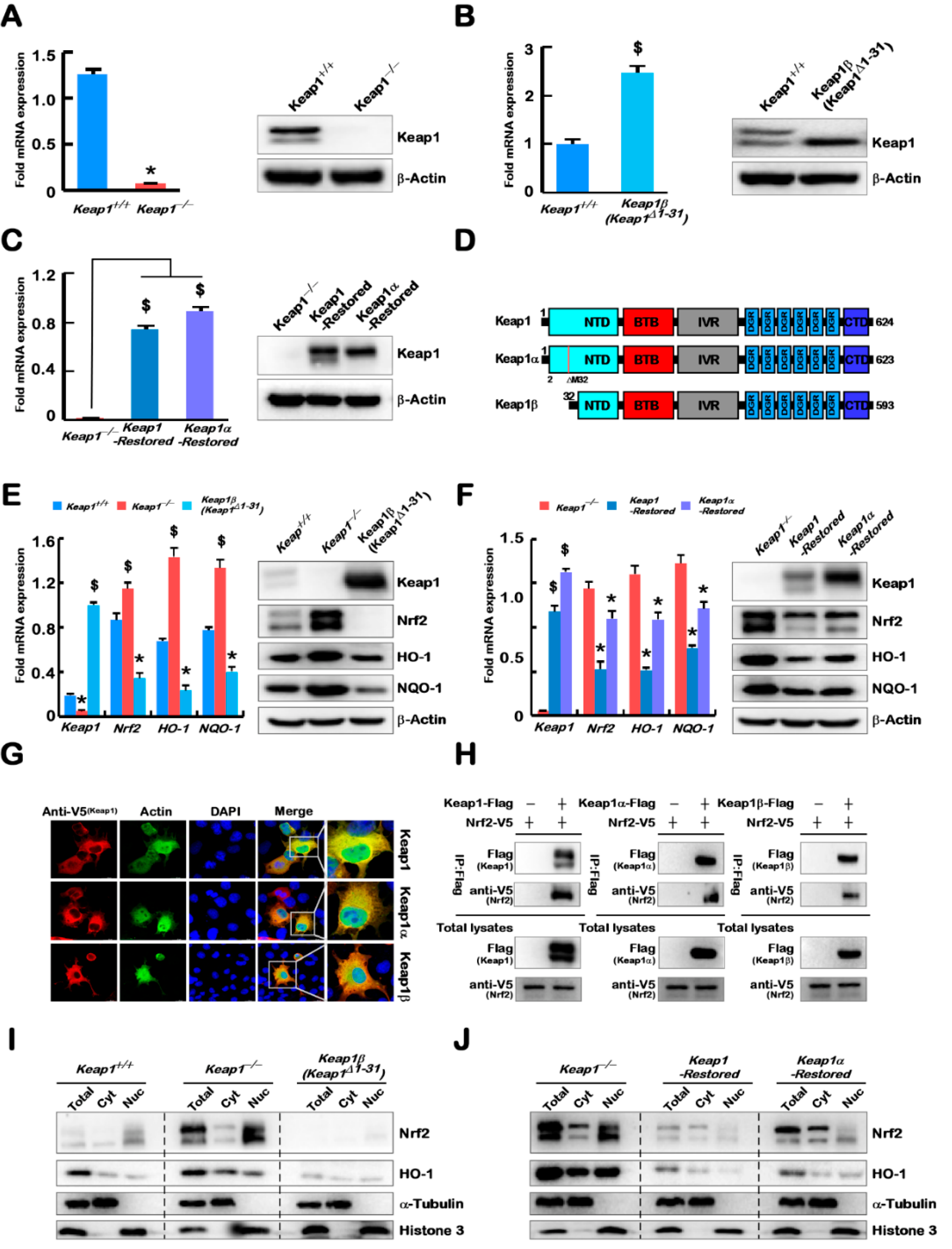 Ijms 23 10342 g001 550