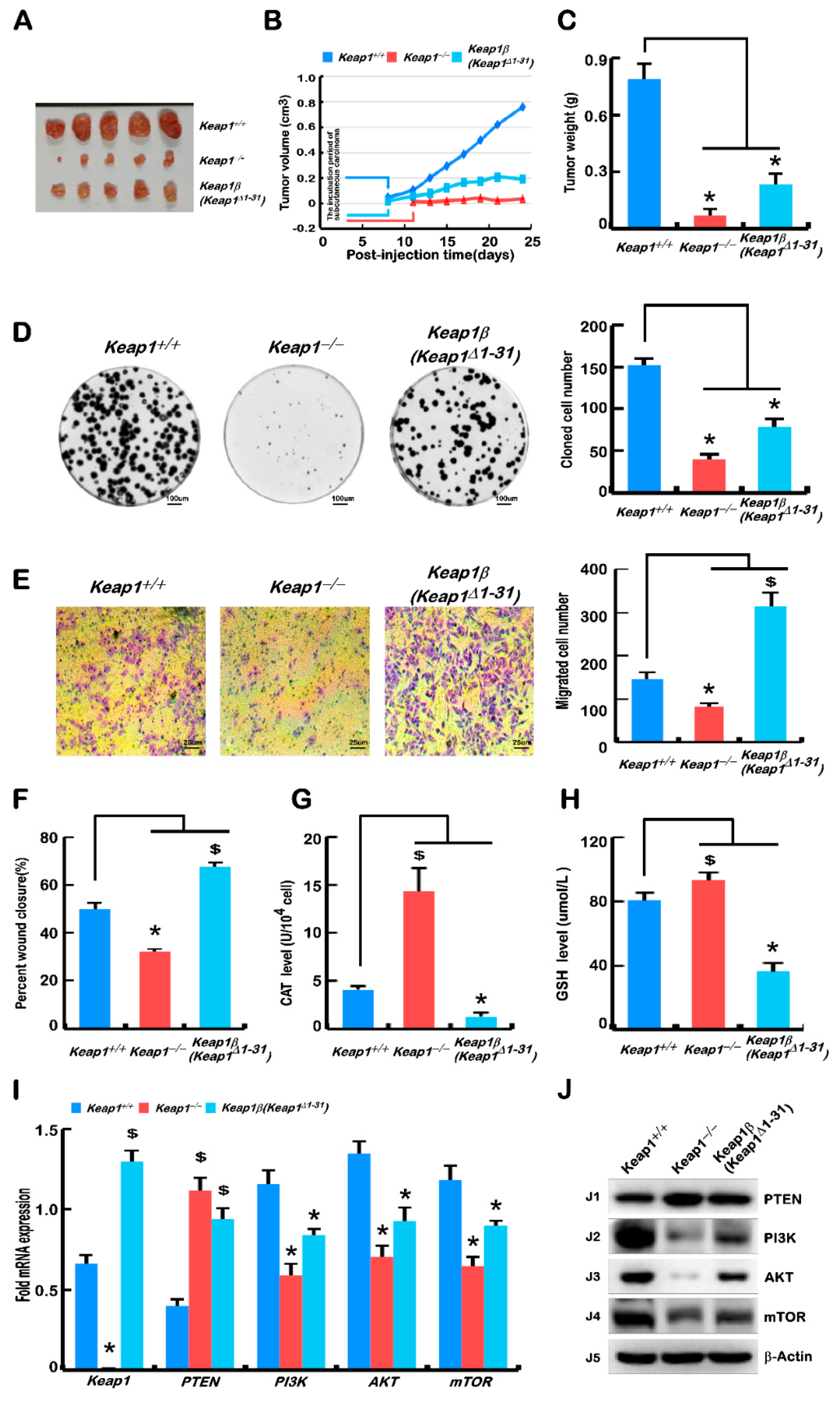 Ijms 23 10342 g003 550