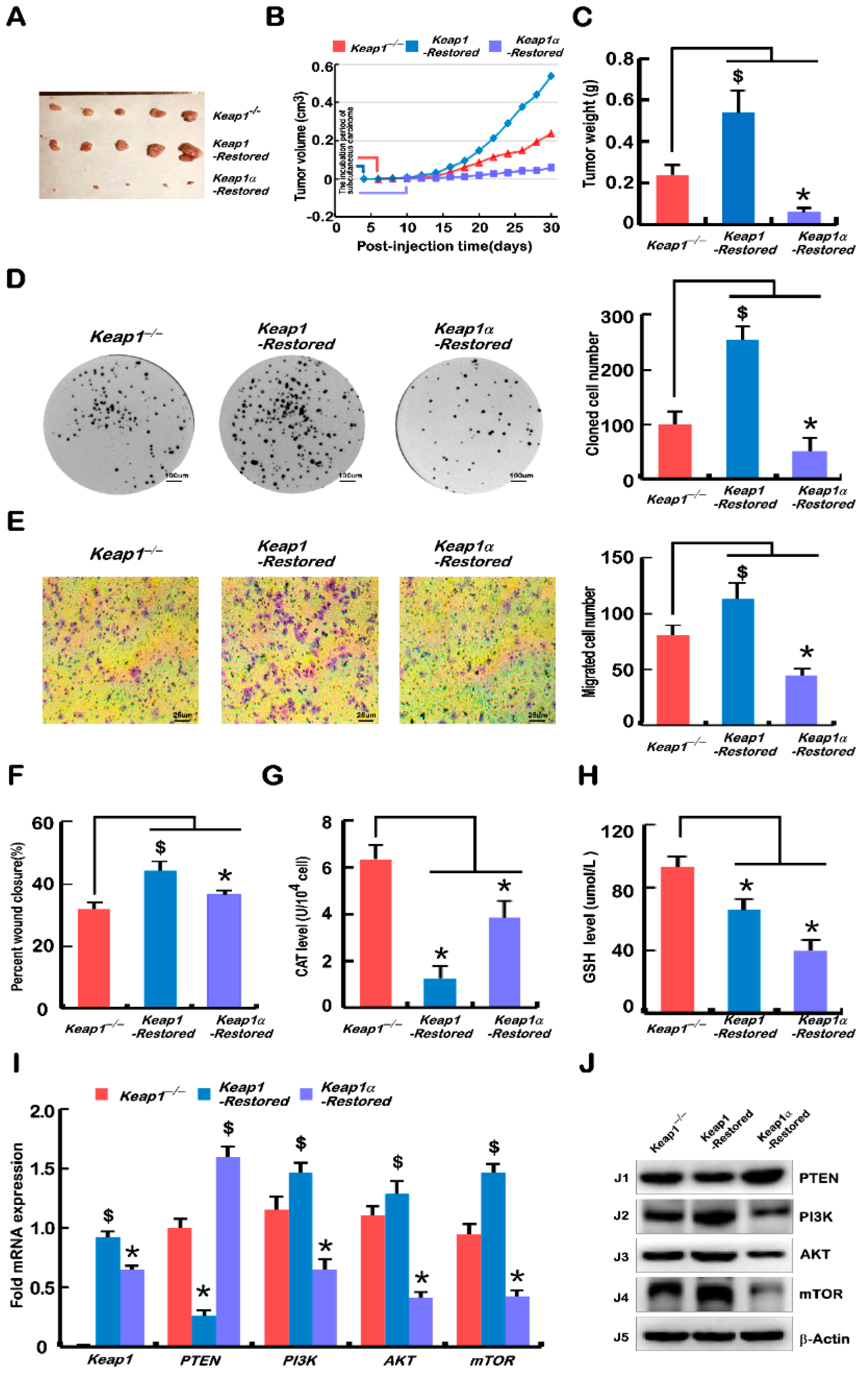 Ijms 23 10342 g004 550