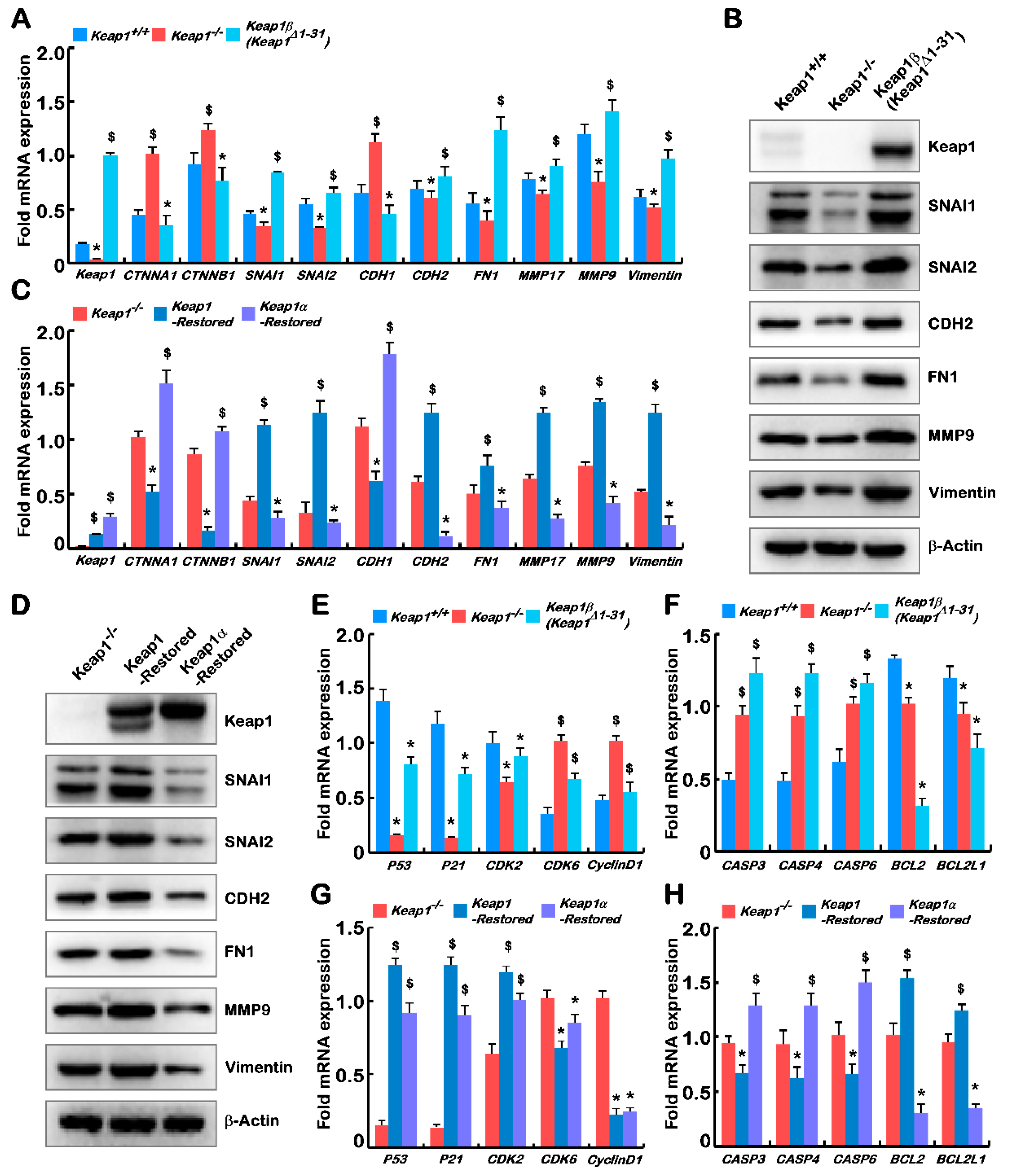 Ijms 23 10342 g005 550