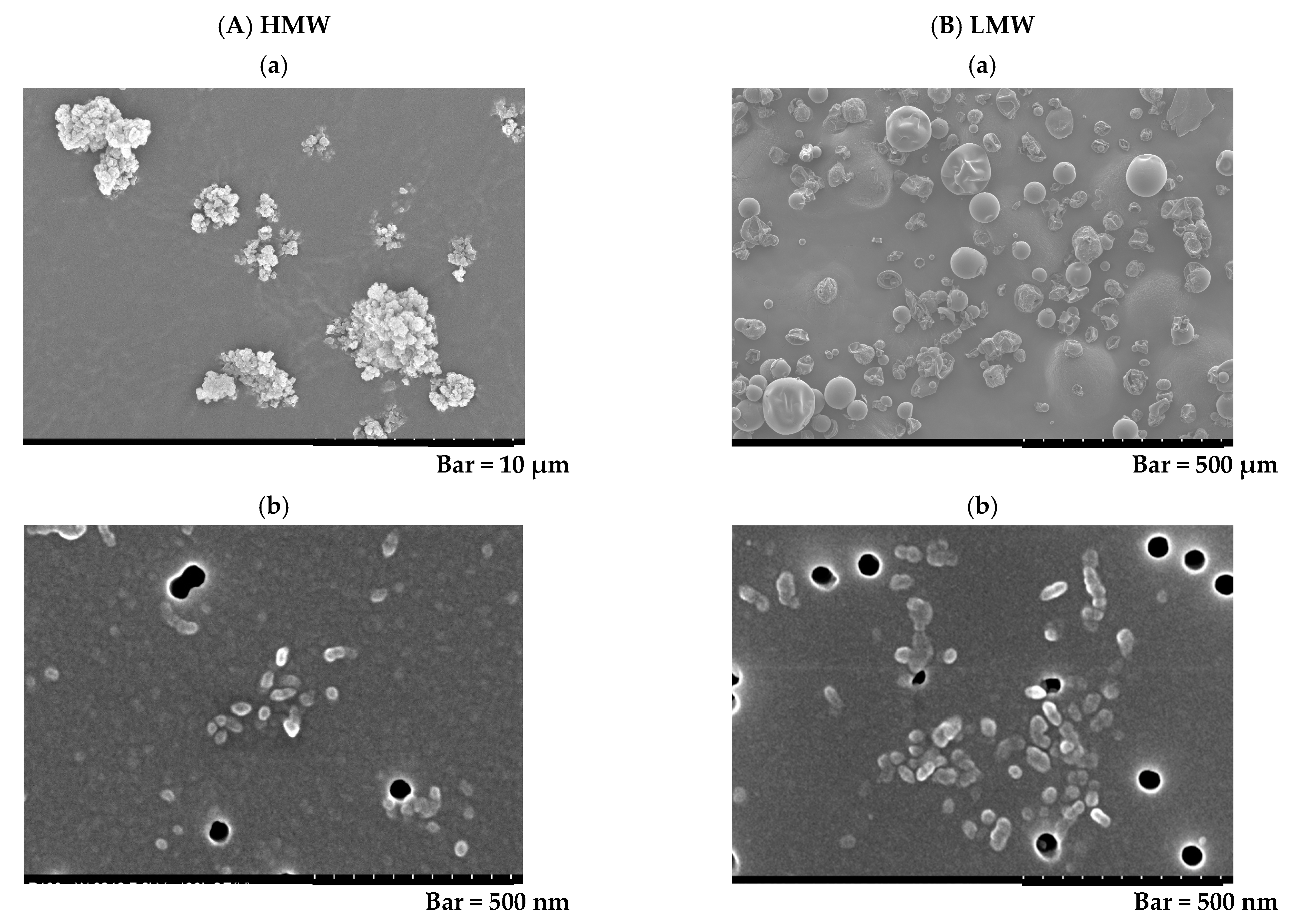 Ijms 23 10345 g001 550