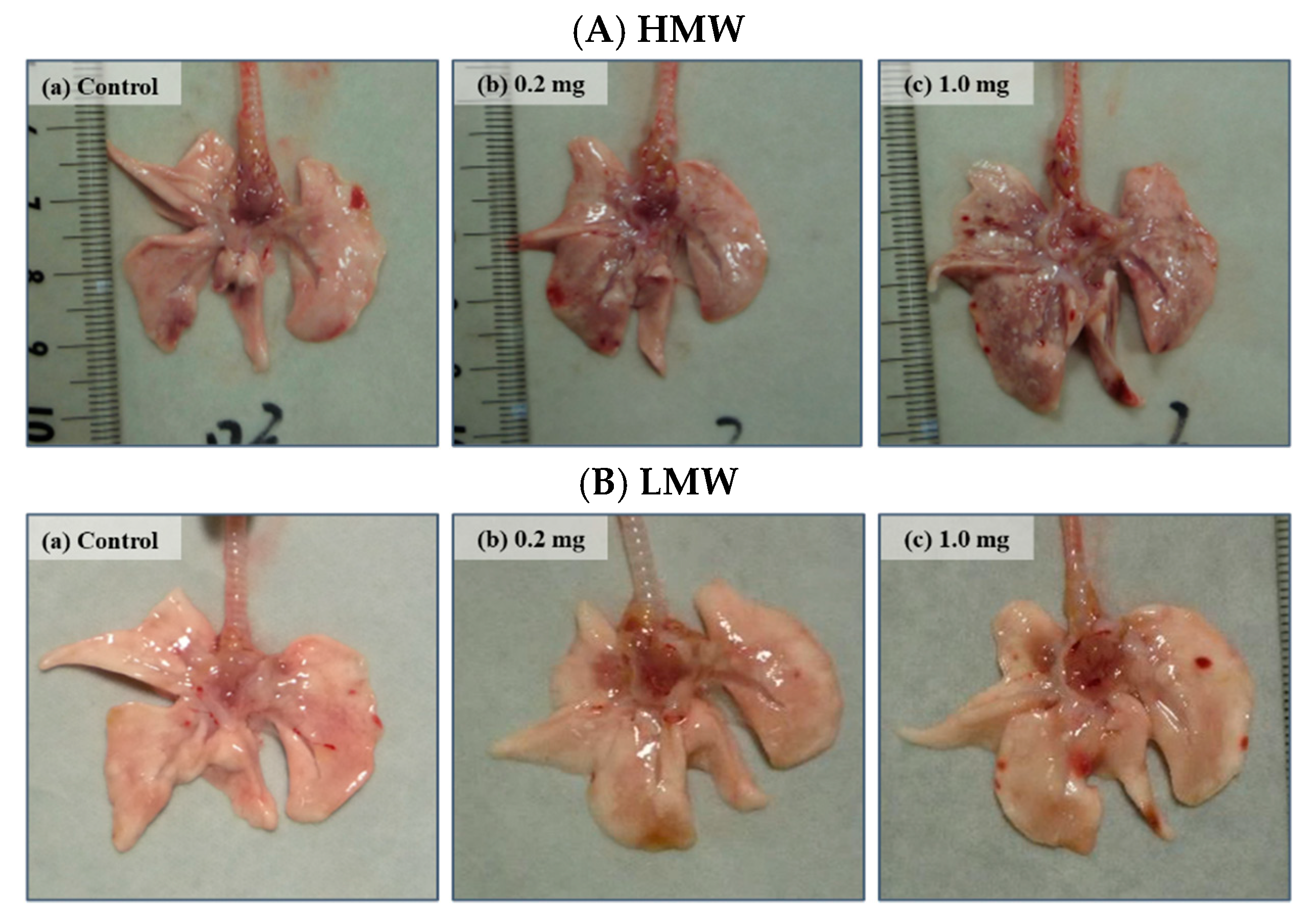 Ijms 23 10345 g002 550