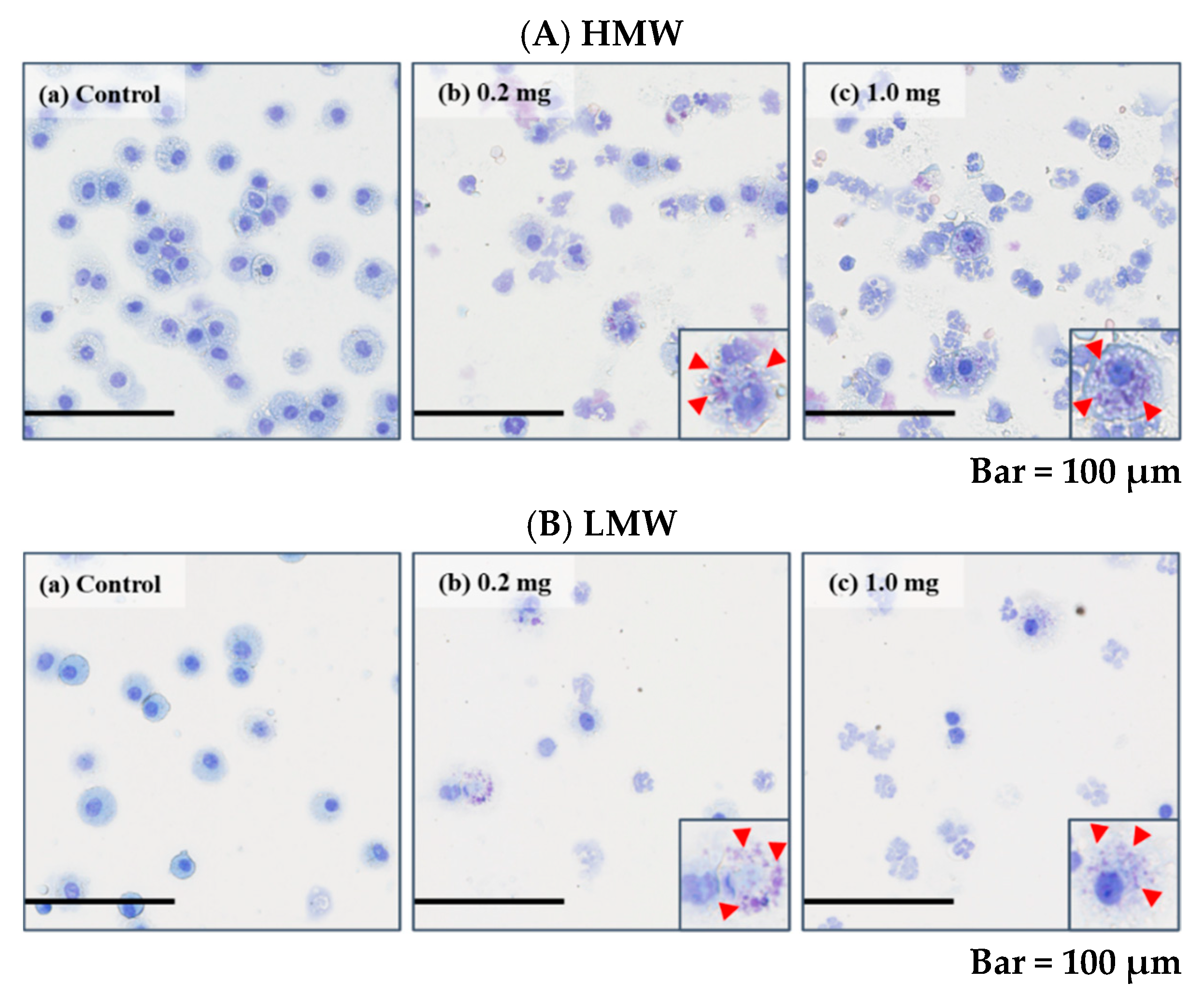 Ijms 23 10345 g004 550