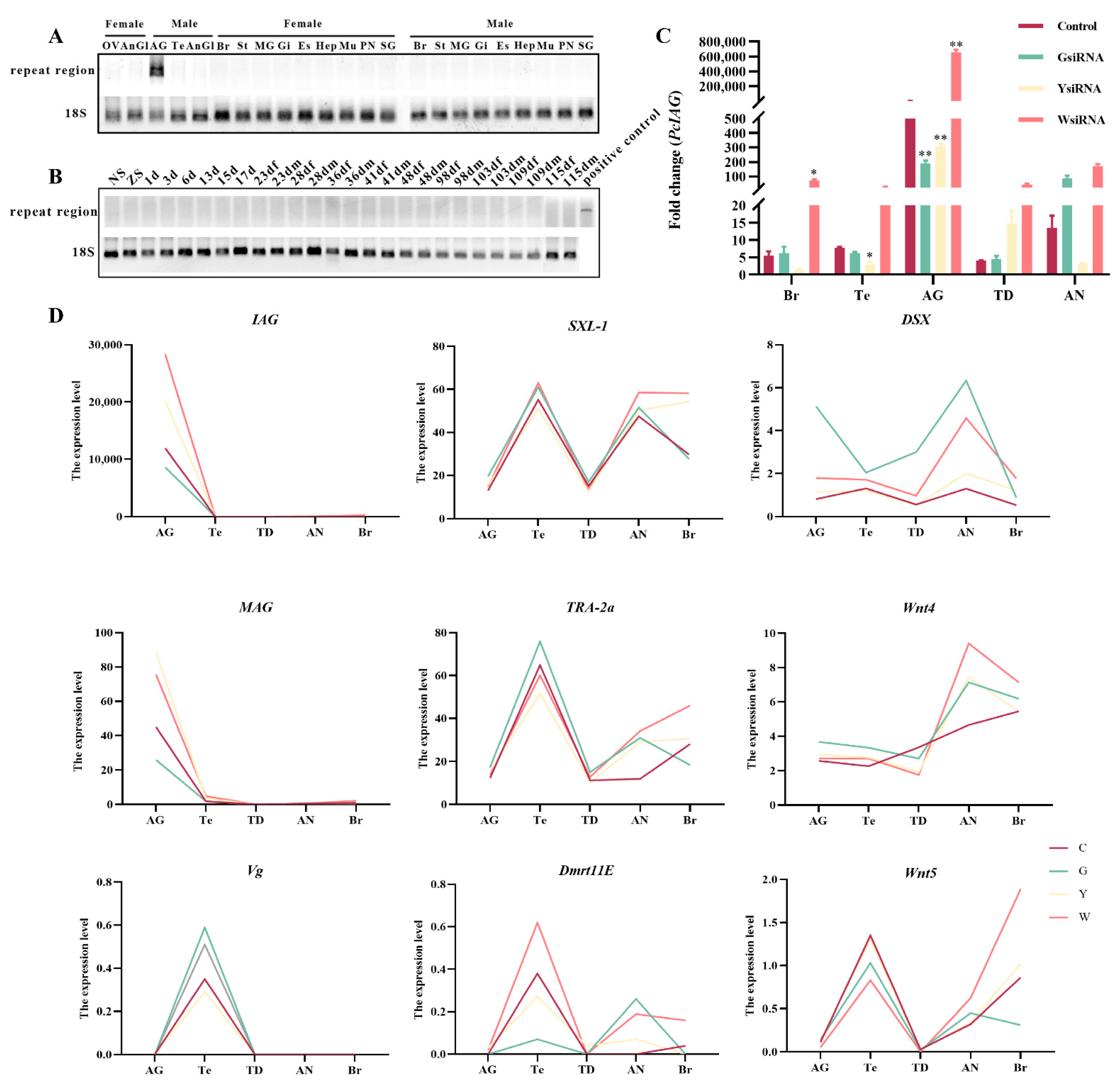 Ijms 23 10348 g002 550