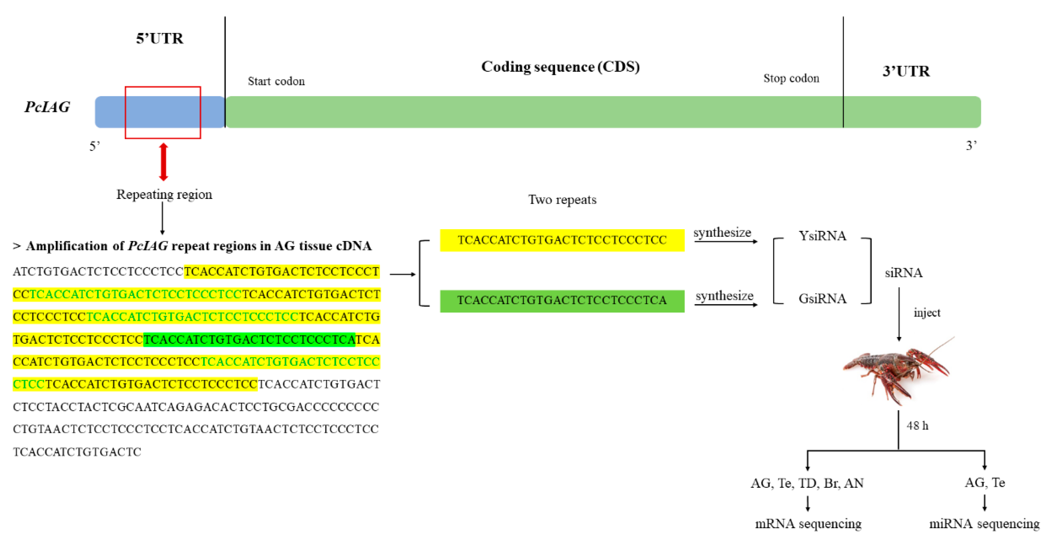 Ijms 23 10348 g005 550