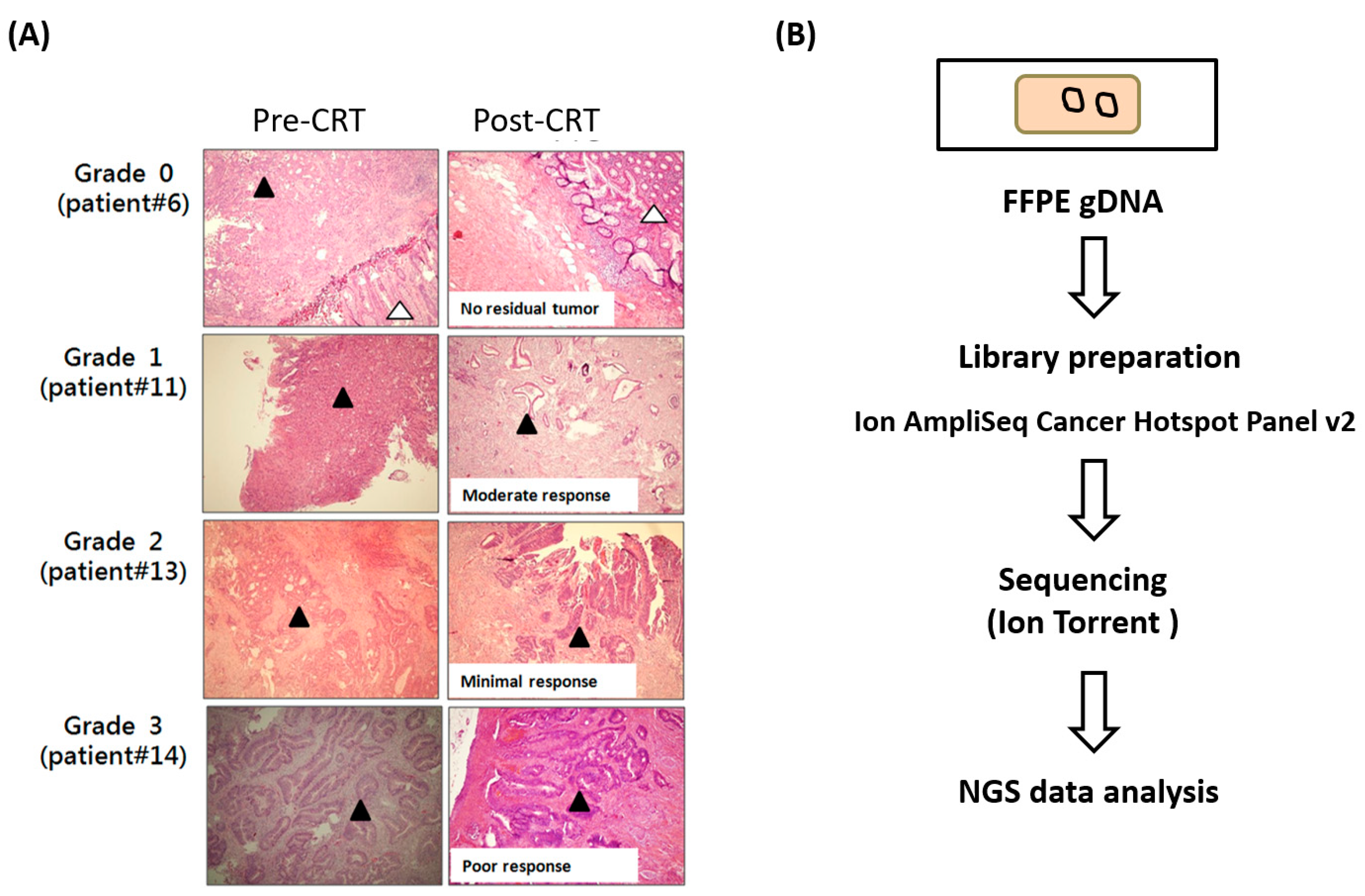 Ijms 23 10353 g001 550