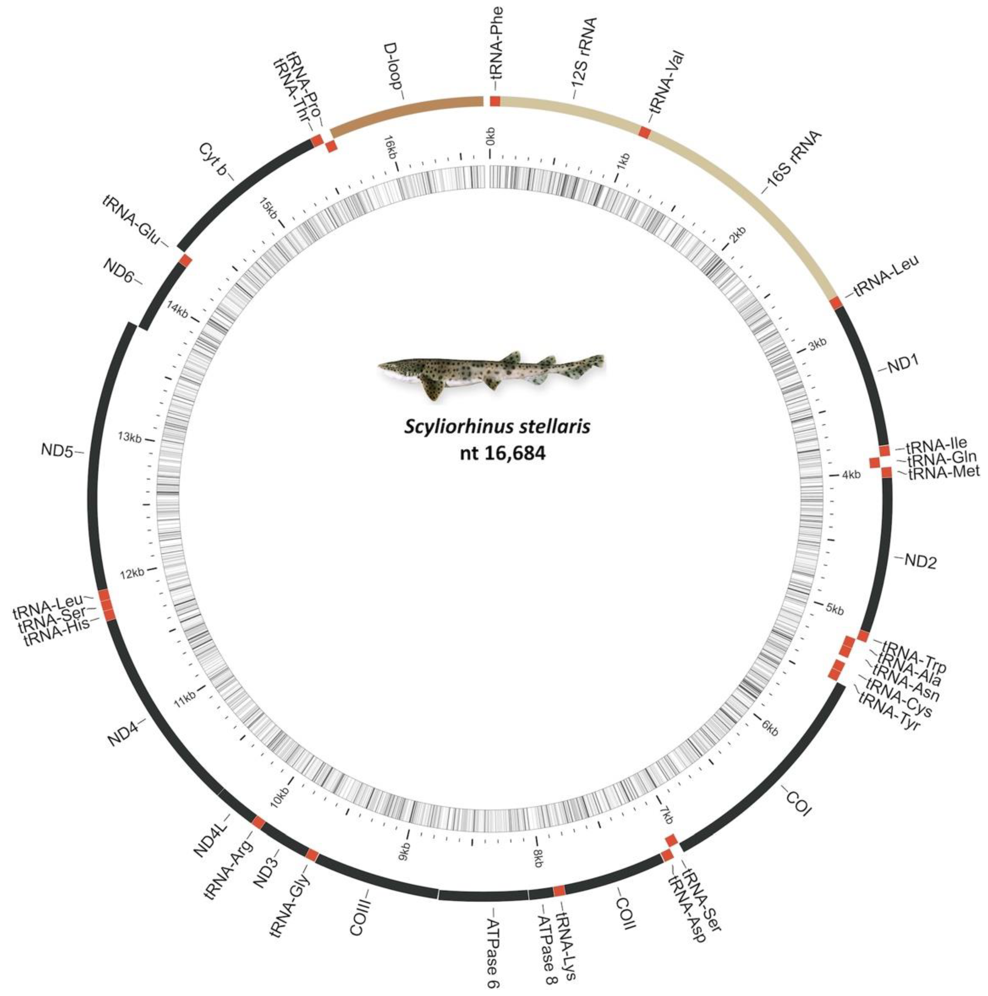 Ijms 23 10355 g001 550