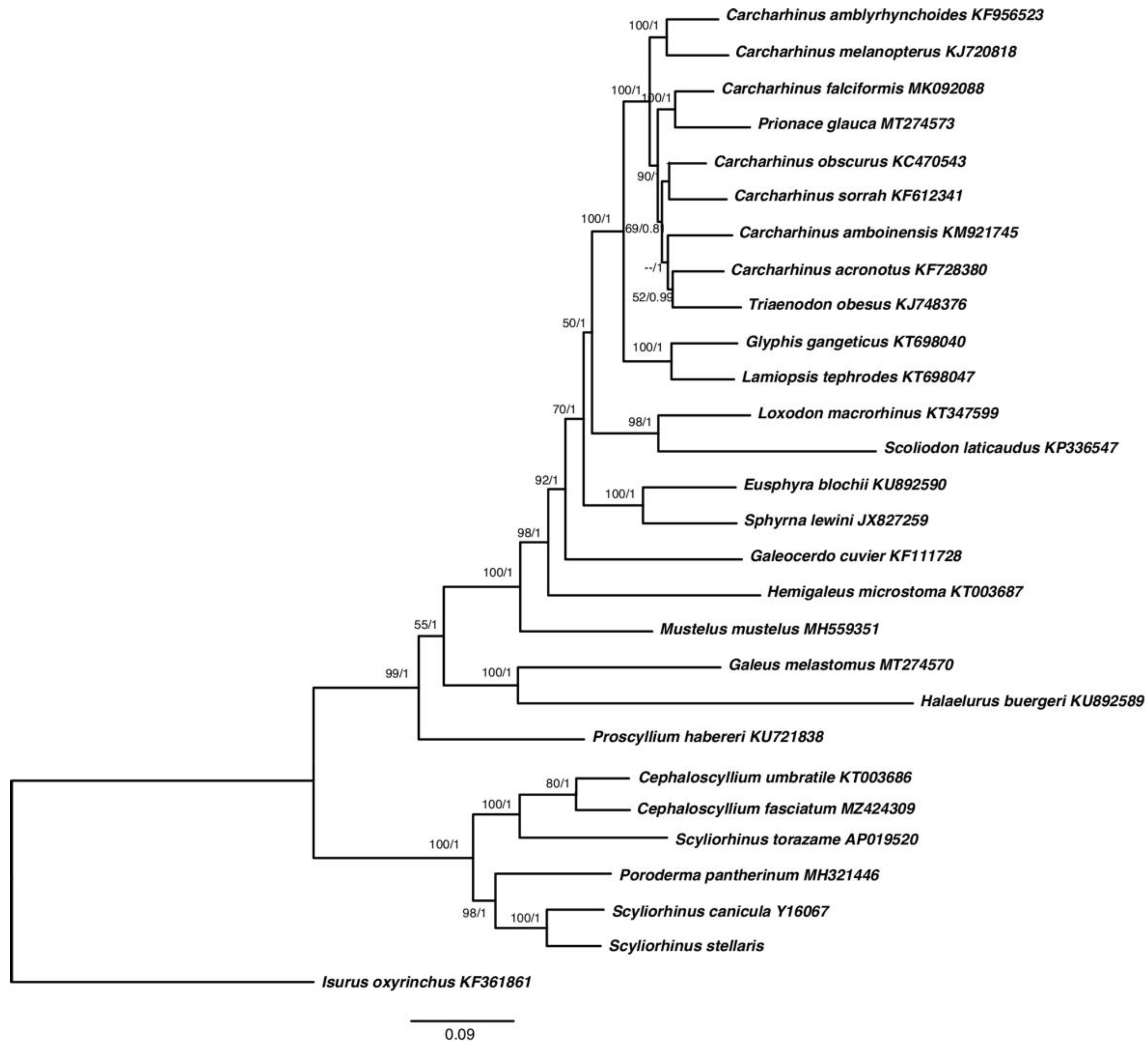 Ijms 23 10355 g004 550